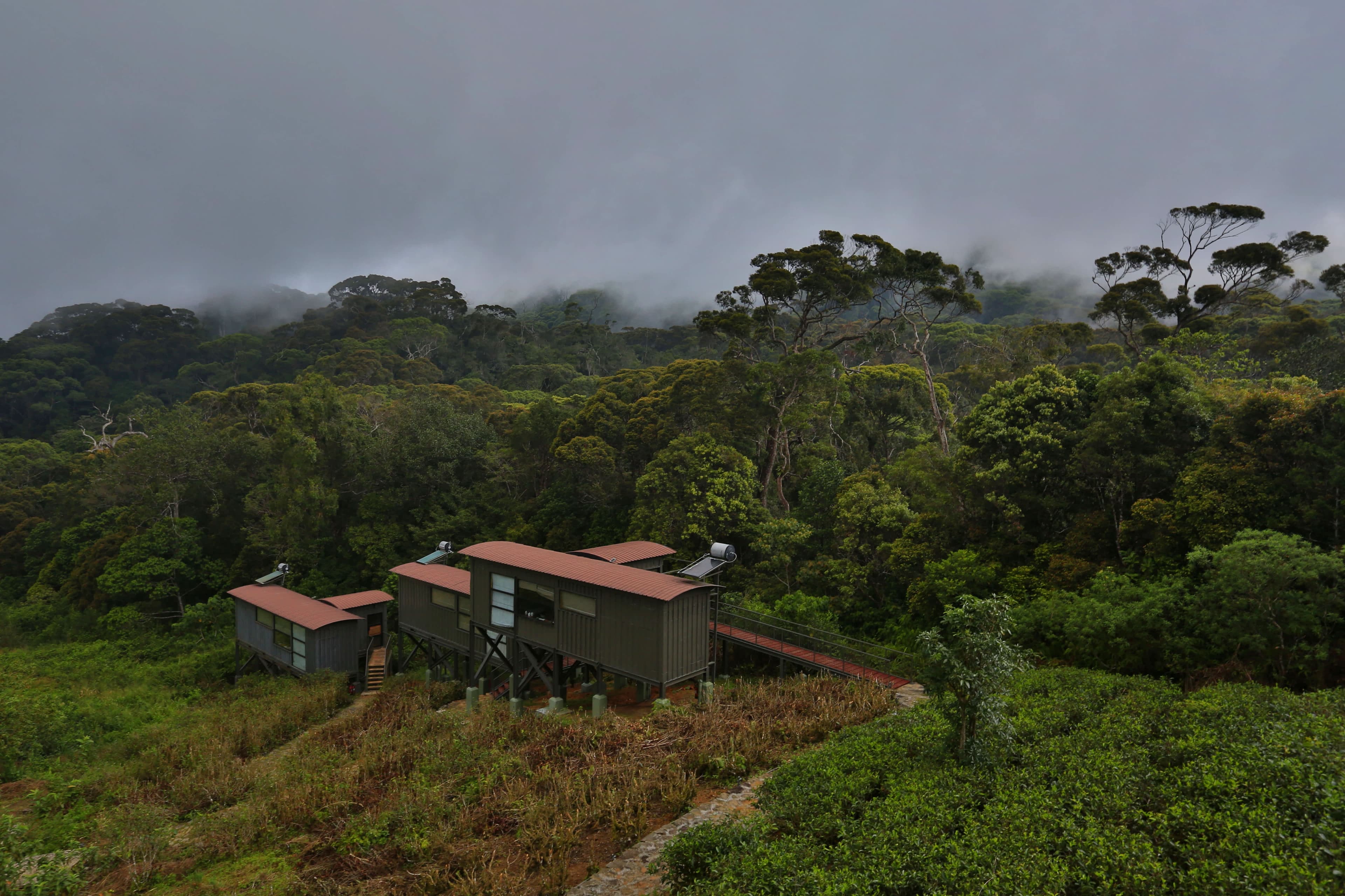 The Rainforest Ecolodge Ansicht 5