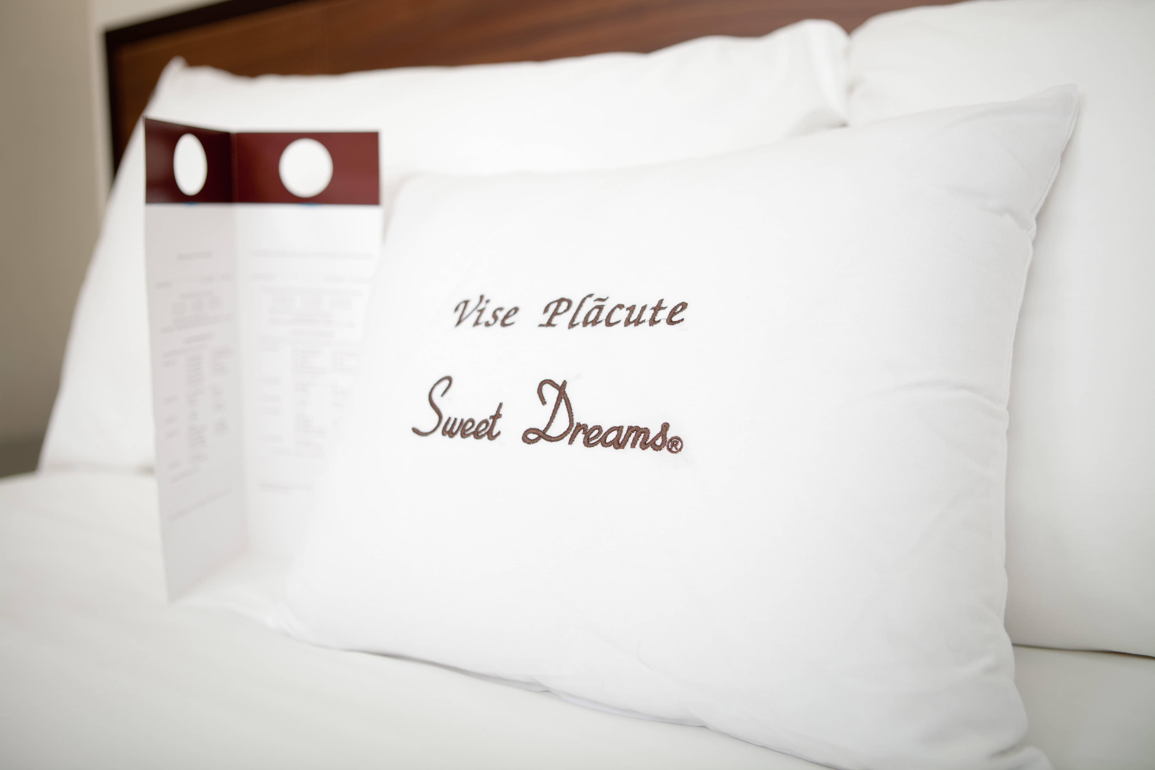 DoubleTree Hotel by Hilton Bucharest Unirii Square Ansicht 3