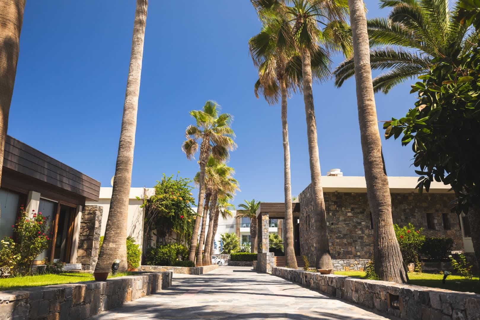 allsun Hotel Malia Beach Ansicht 3
