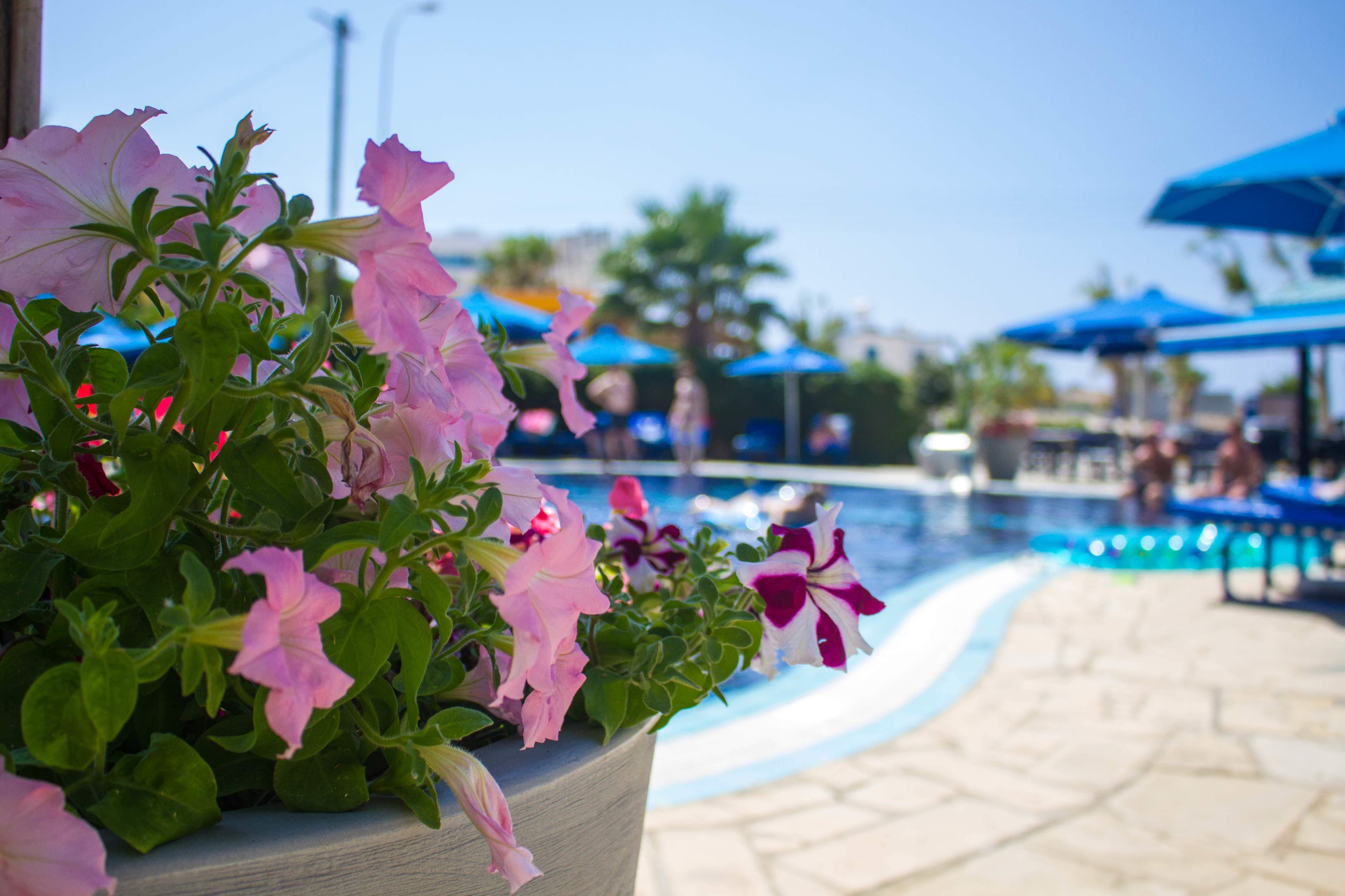 Anonymous Beach Hotel Ansicht 8