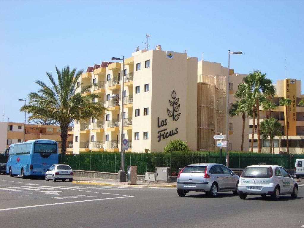 Hotel Los Ficus
