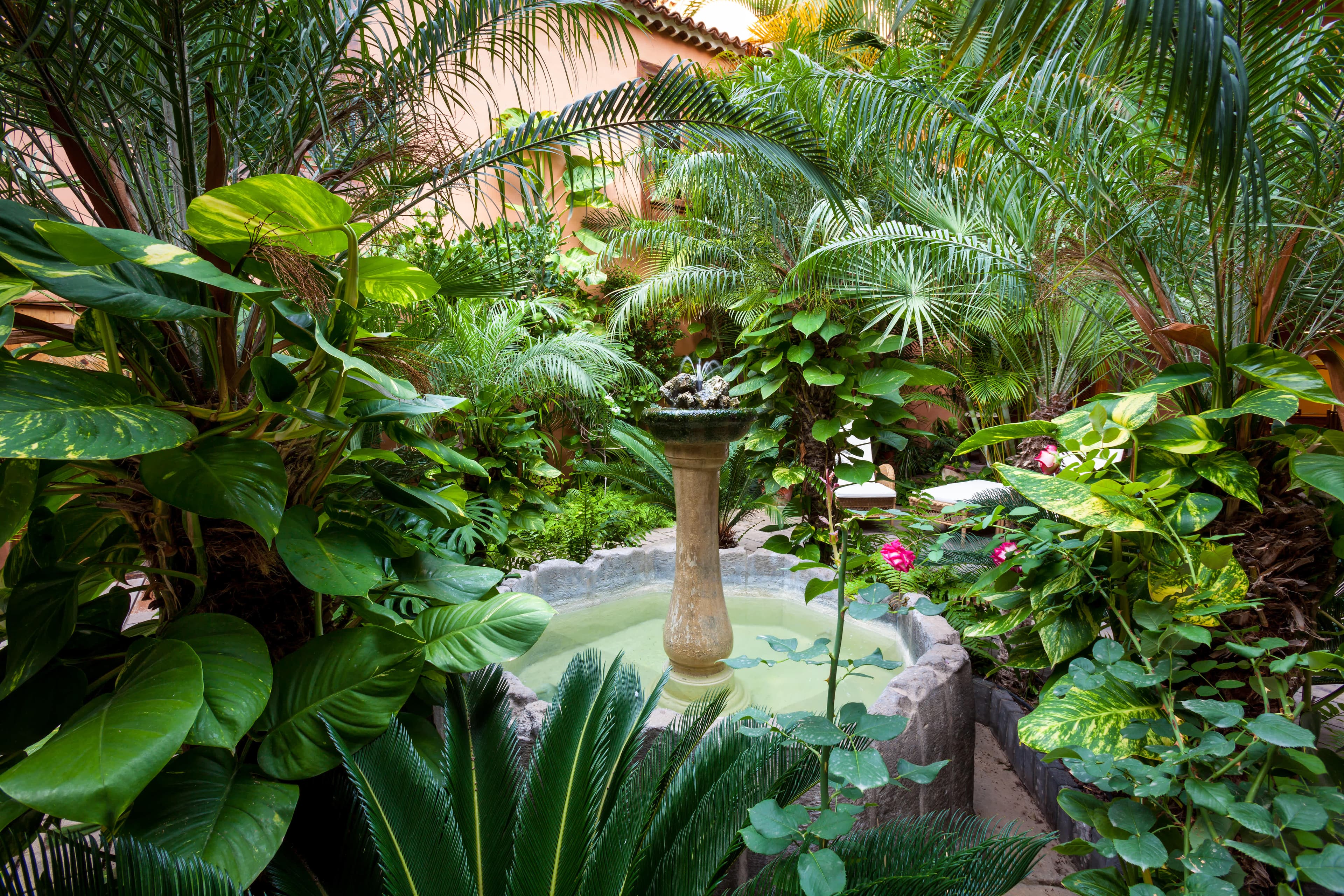 Hotel LIVVO La Quinta Roja Ansicht 2