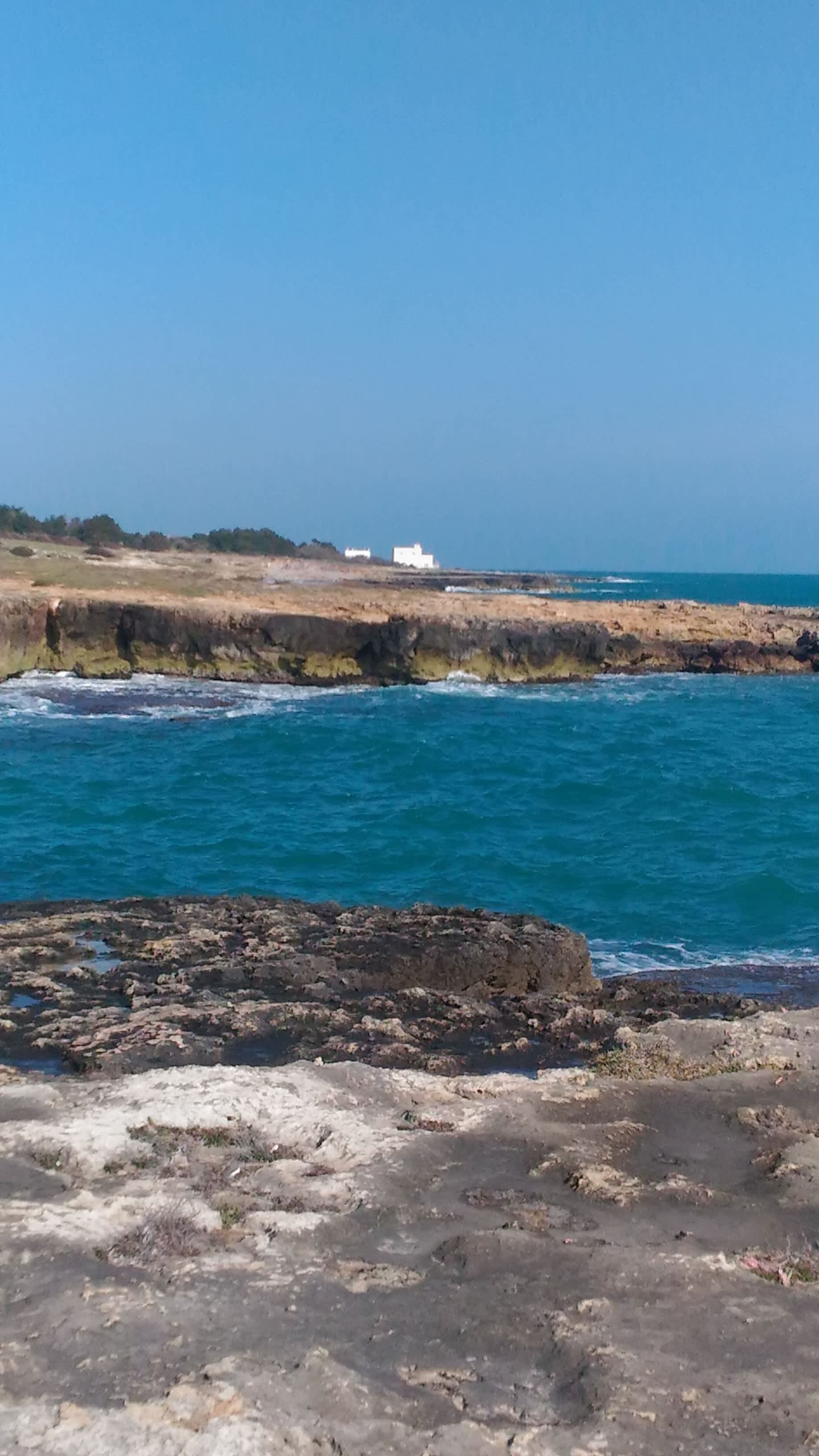 Torre Cintola Greenblu Sea Emotions Ansicht 7
