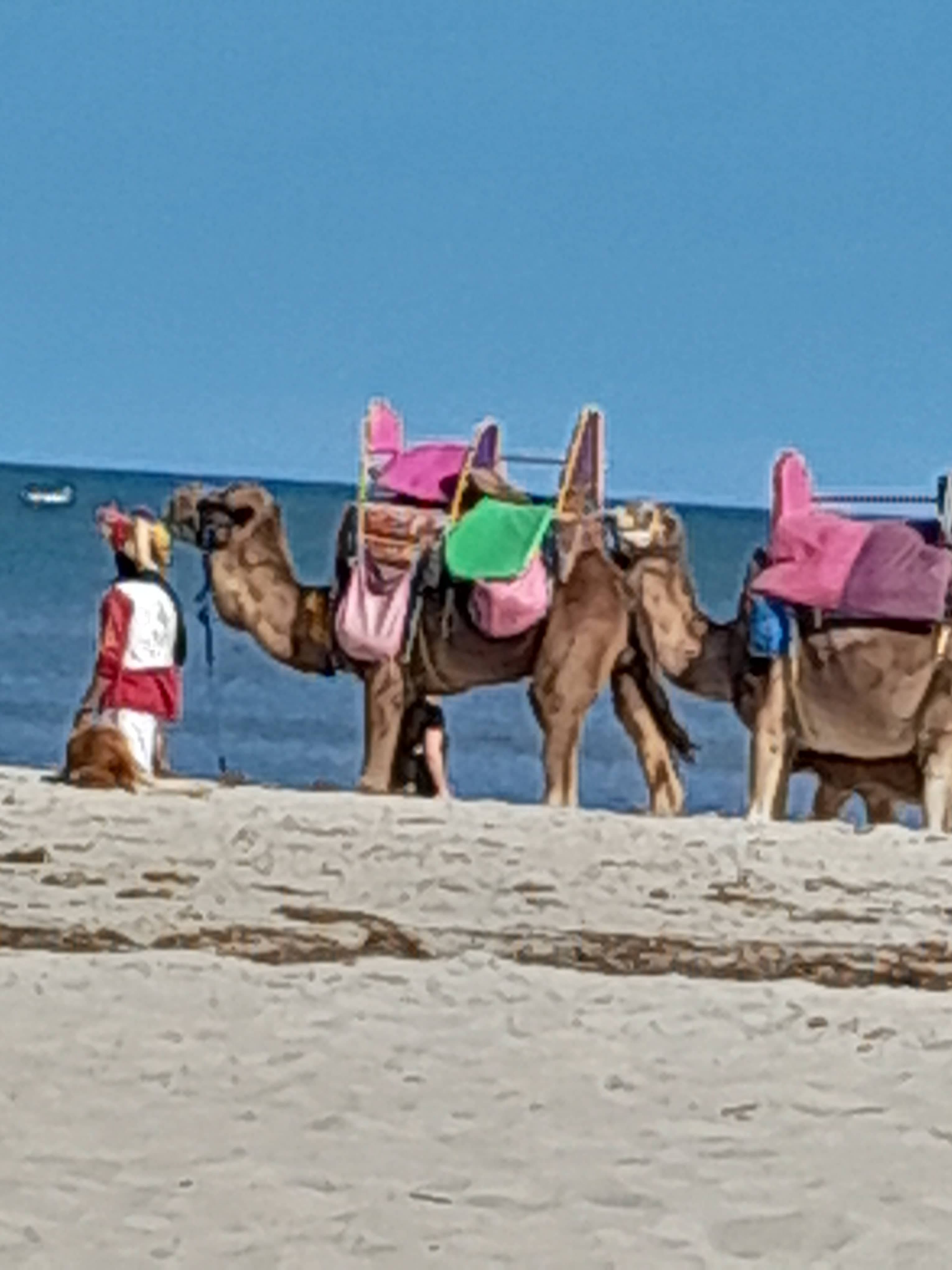 Hotel Djerba Holiday Beach Ansicht 10