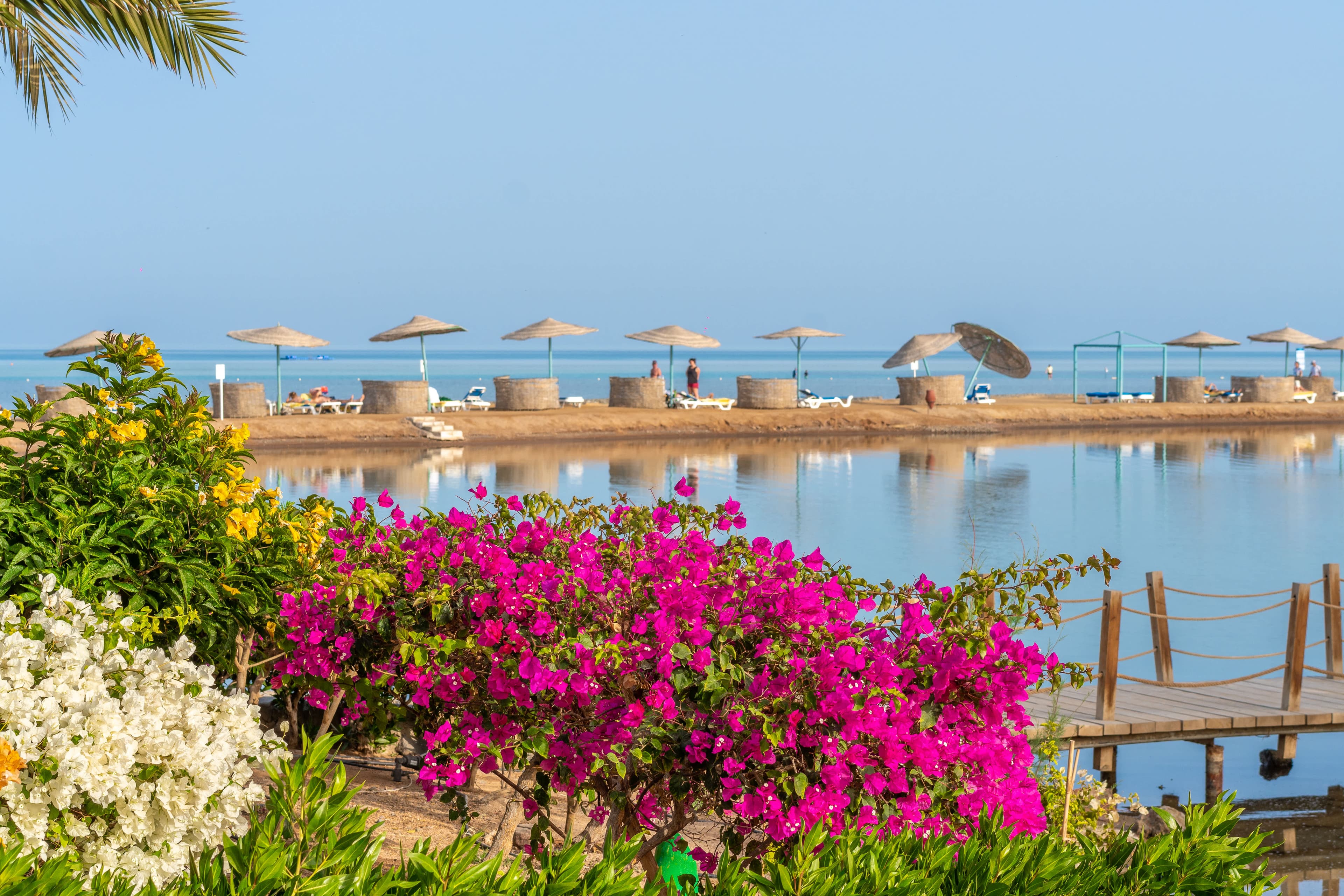 Mövenpick Resort & Spa El Gouna Ansicht 8