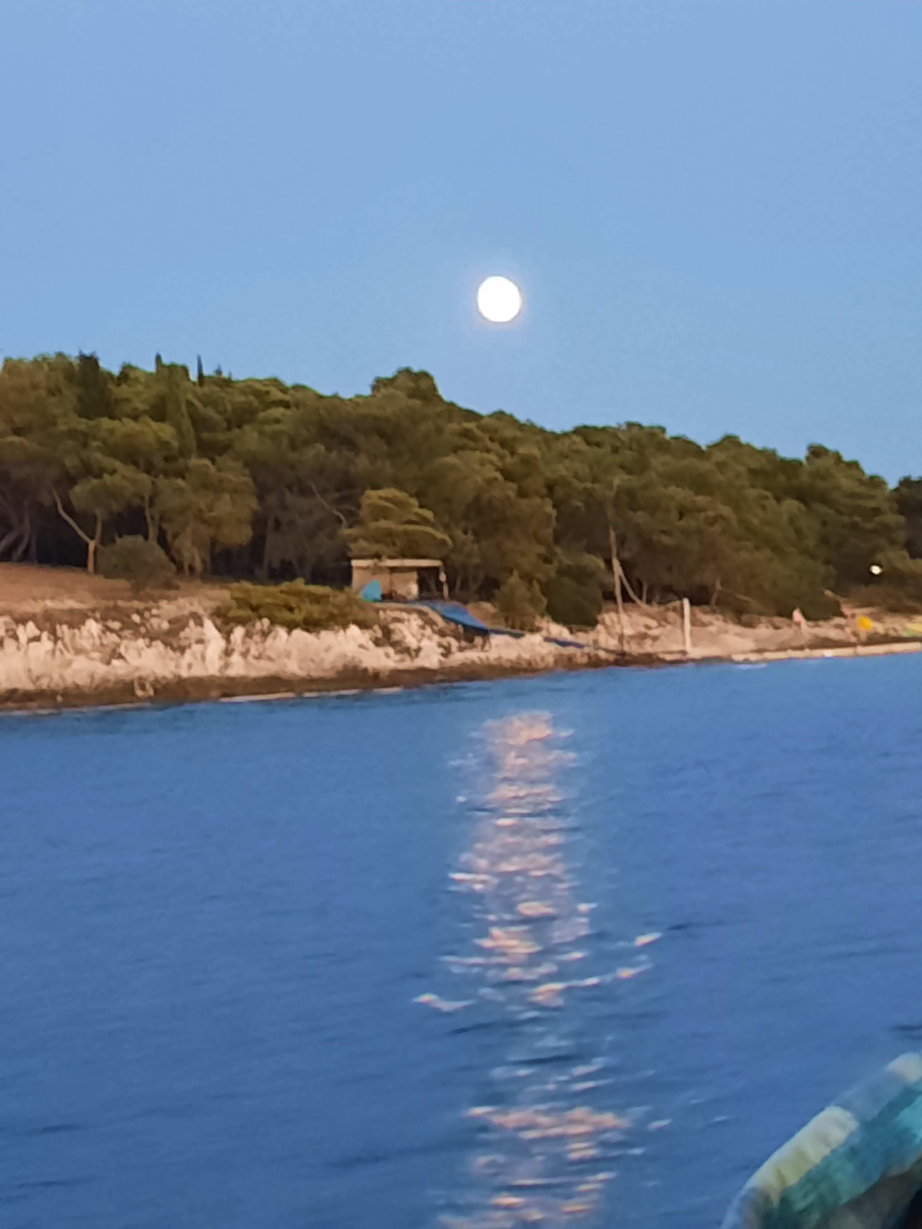 Hotel Albatros Plava Laguna Ansicht 10