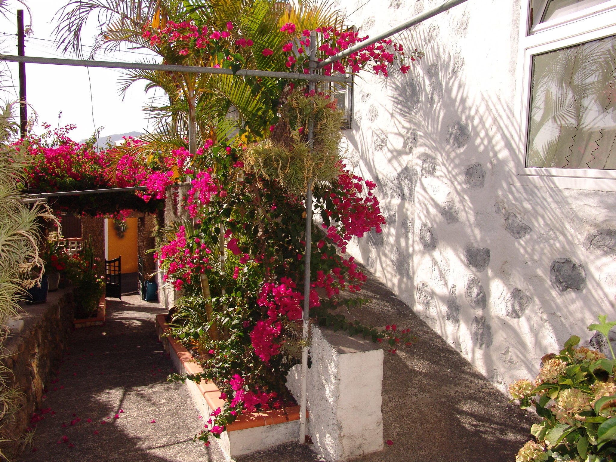 Hermosilla Ansicht 9