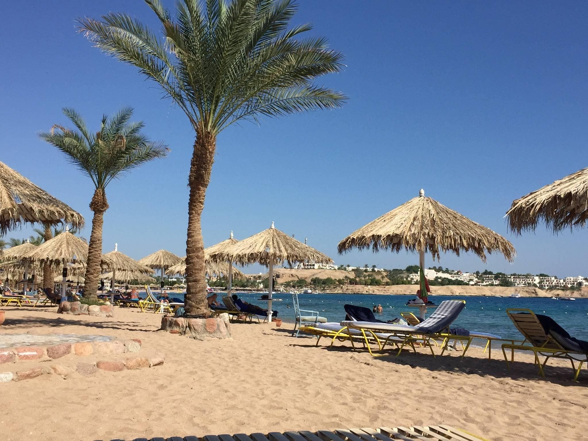 JAZ Sharm Dream Ansicht 7