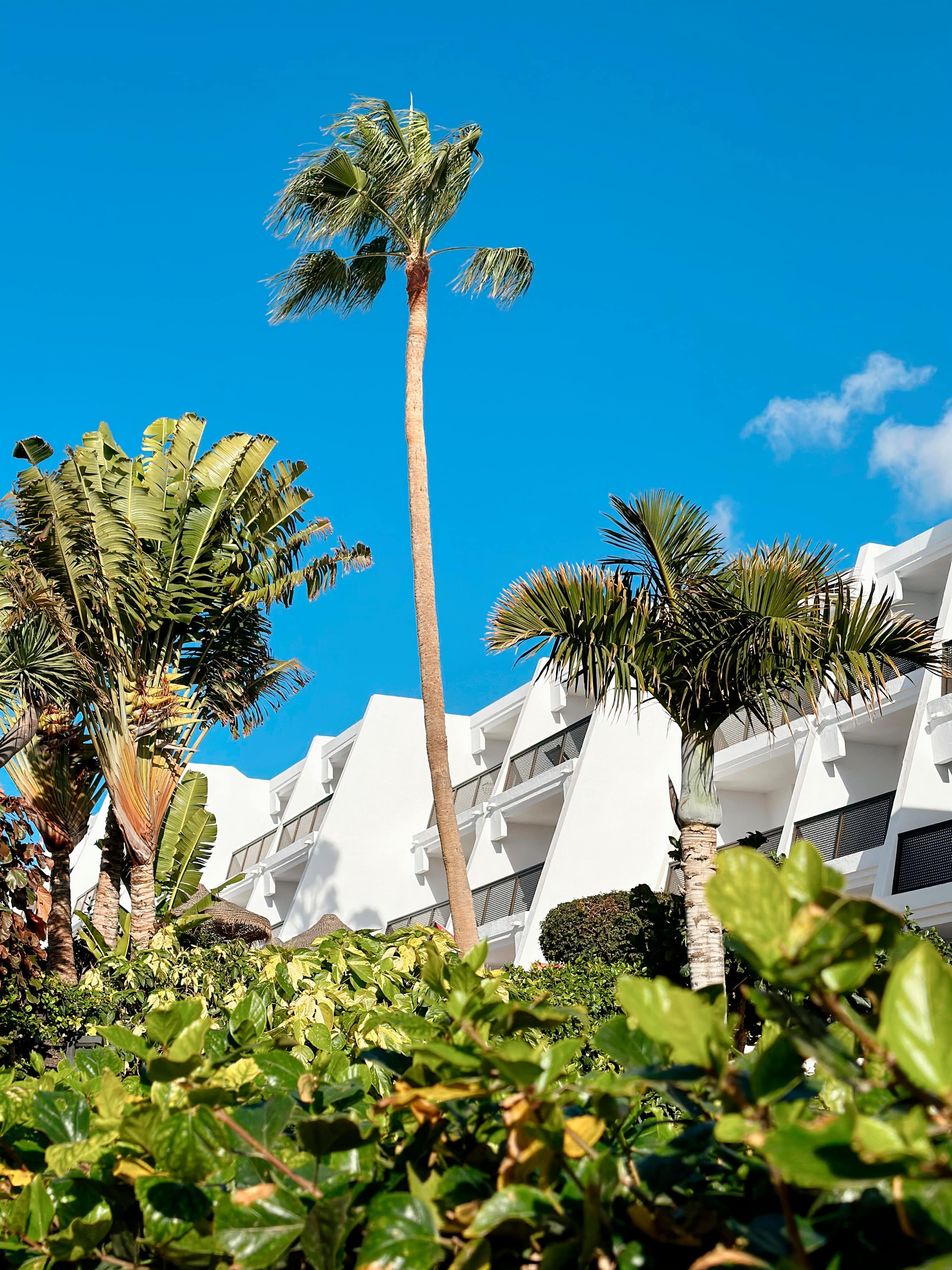 Sol Fuerteventura Jandia - All Suites Ansicht 3