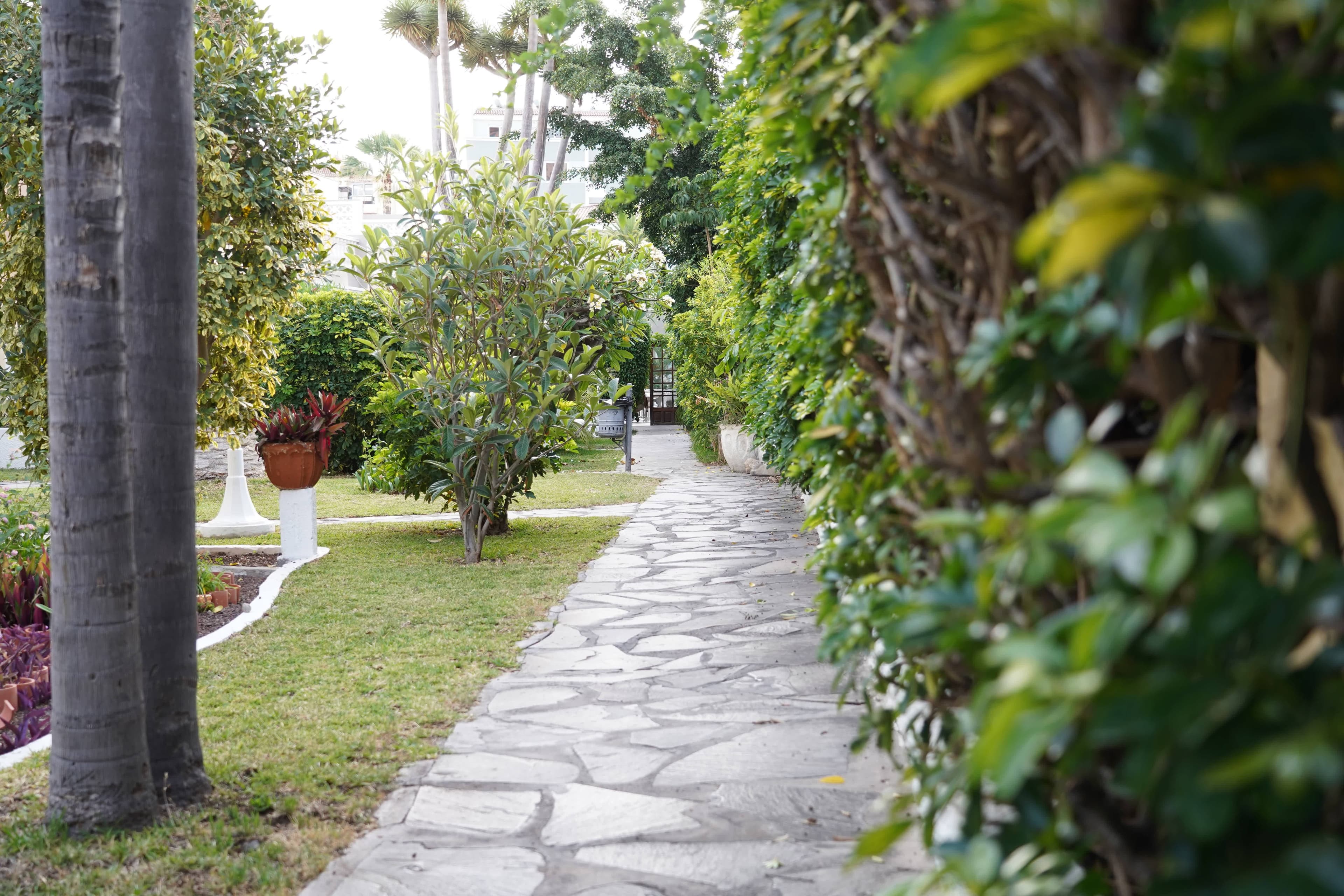 Hotel RF San Borondon Ansicht 9