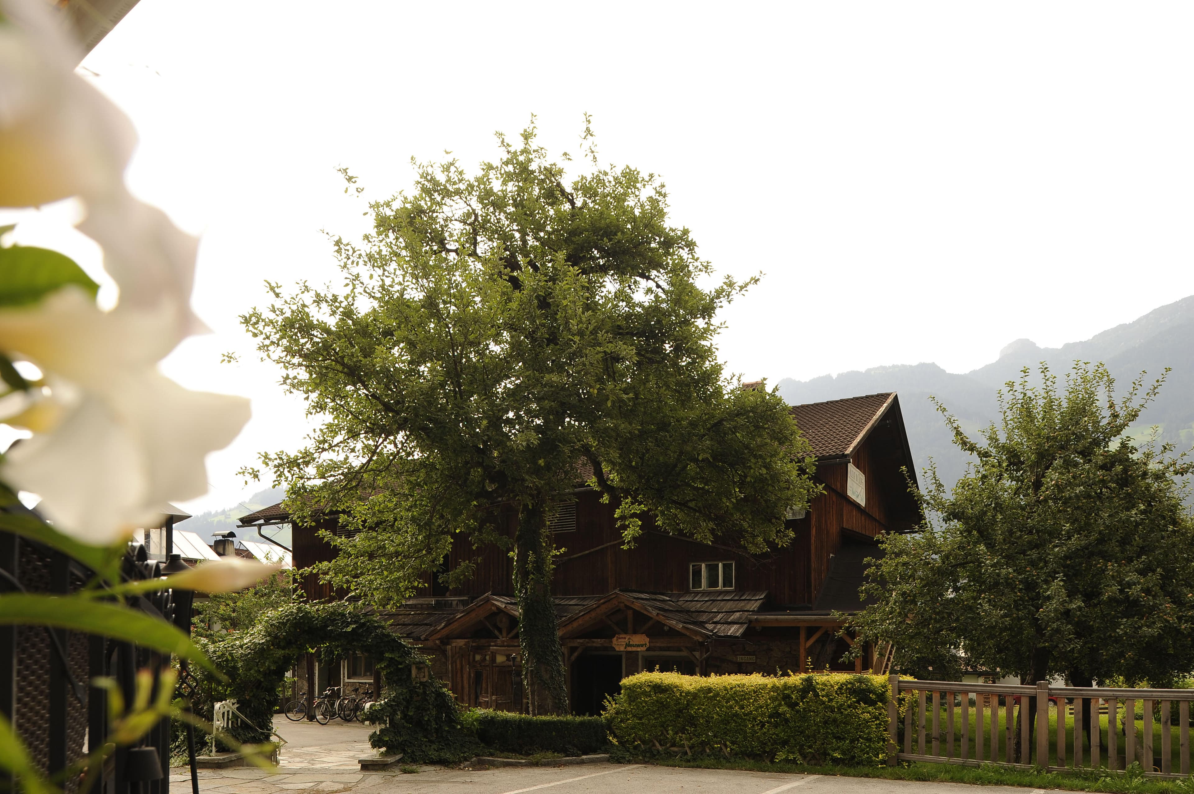 Ferienhotel Neuwirt Ansicht 9