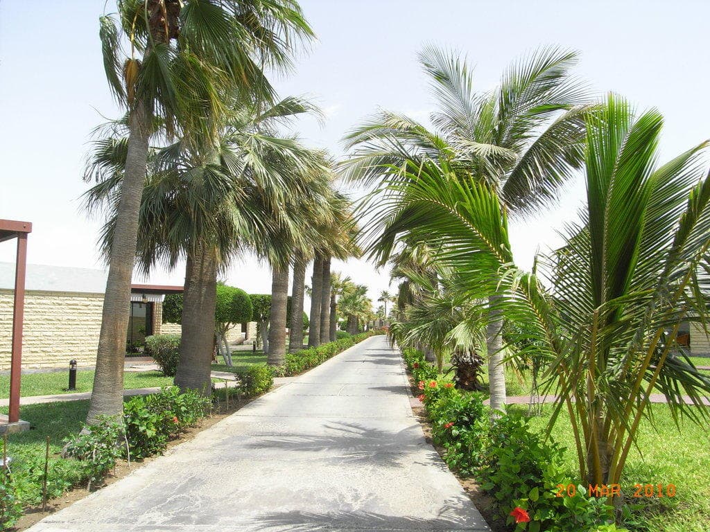 Sheraton Jeddah Hotel & Resort Ansicht 9