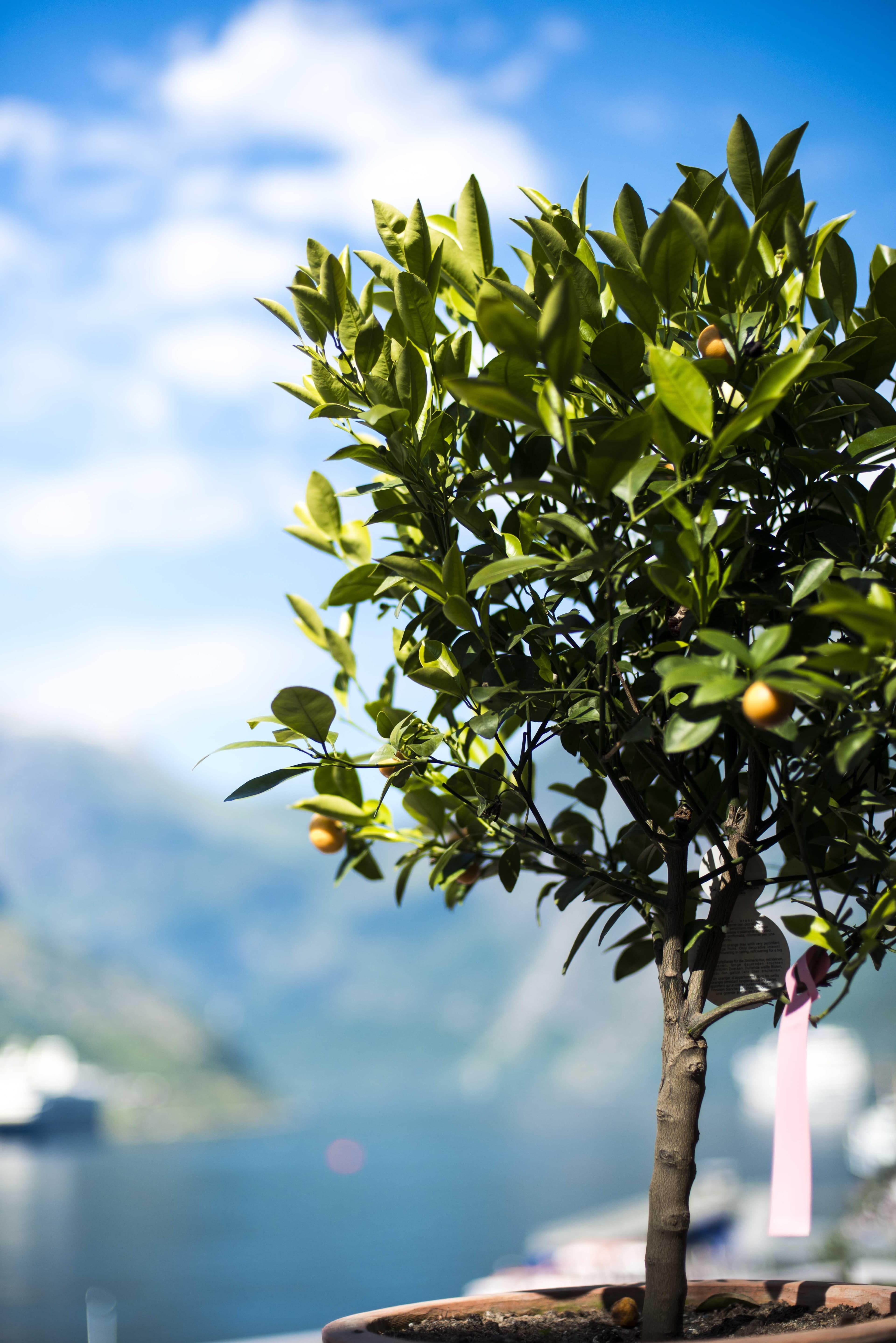 Hotel Geiranger Ansicht 10