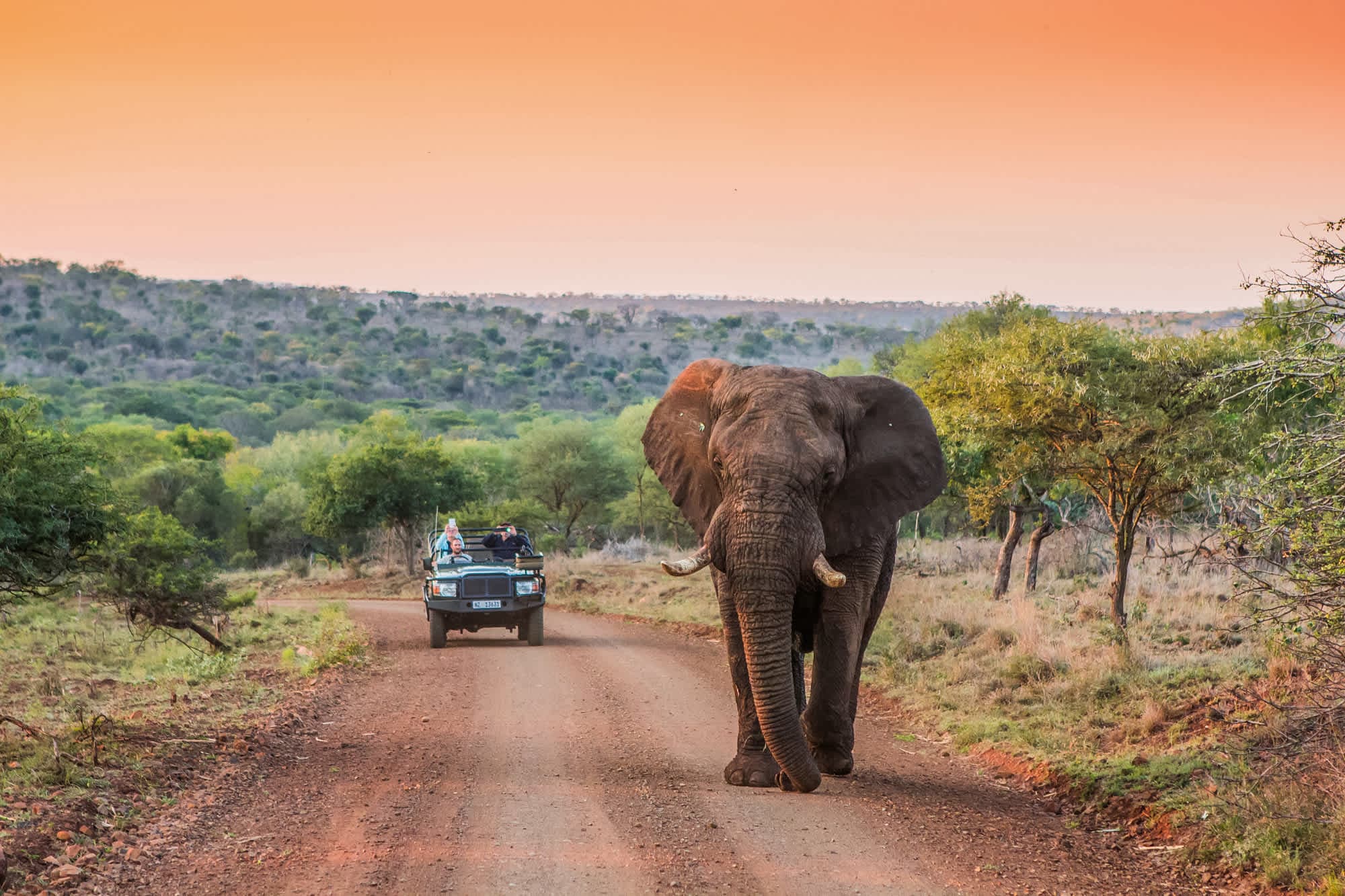 Leopard Mountain Safari Lodge Ansicht 7