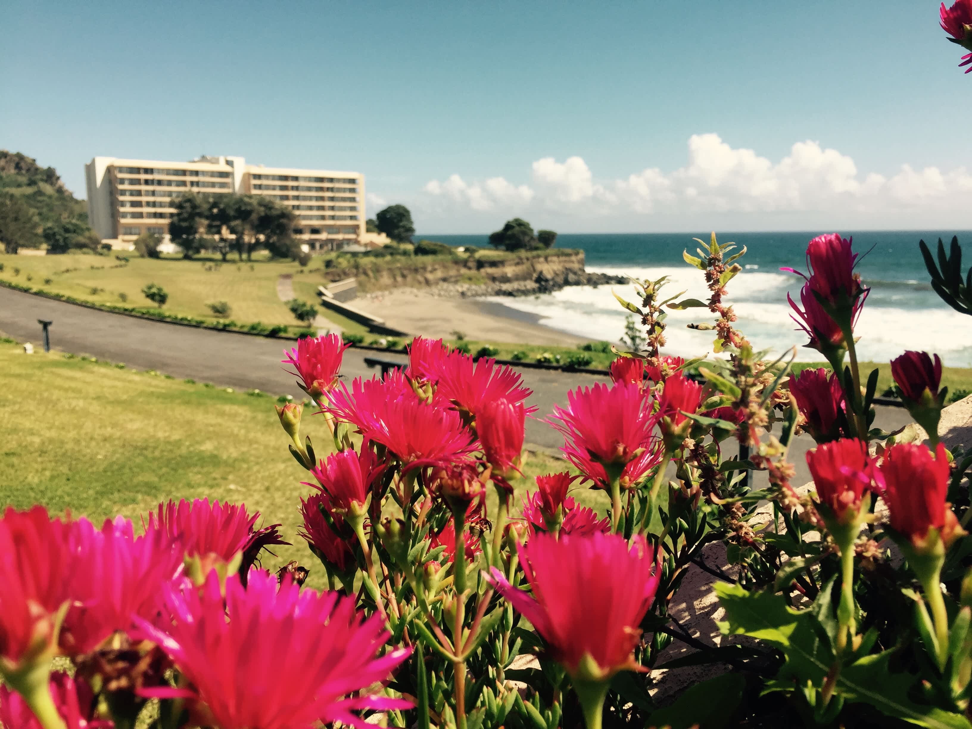 Pestana Bahia Praia Nature & Beach Resort Ansicht 2