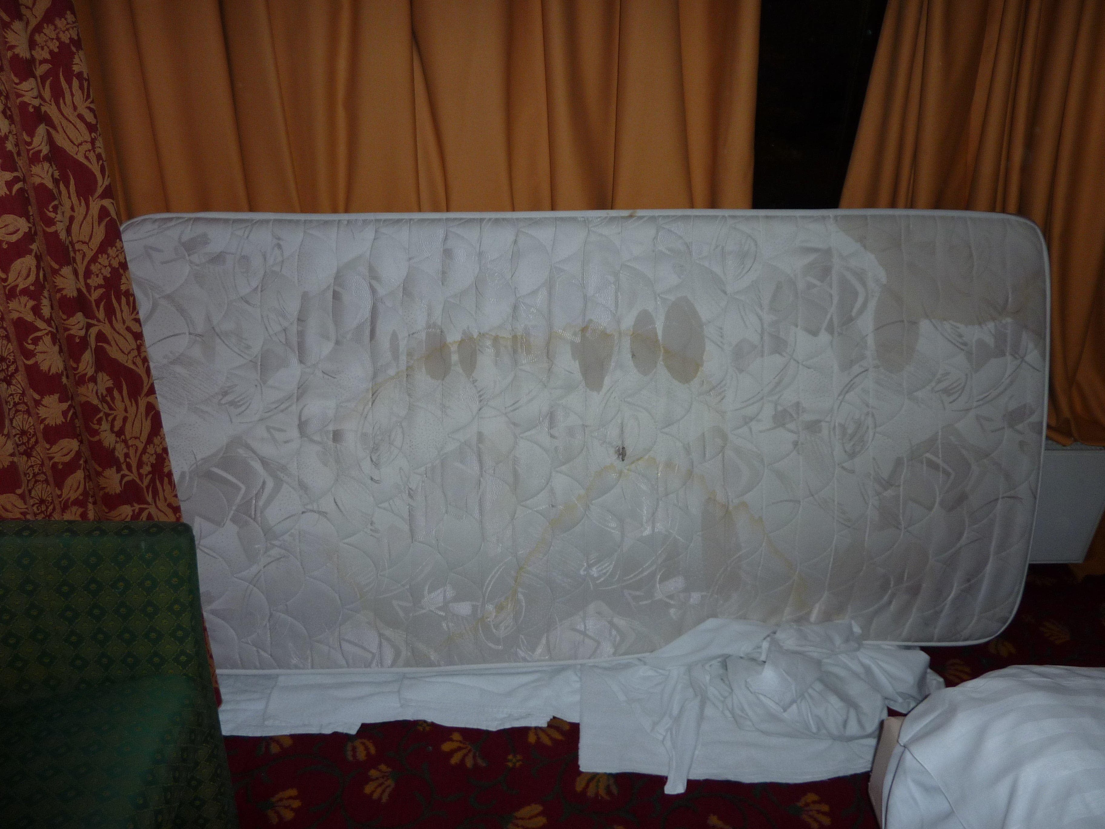 Hotel AMS Omega Ansicht 7