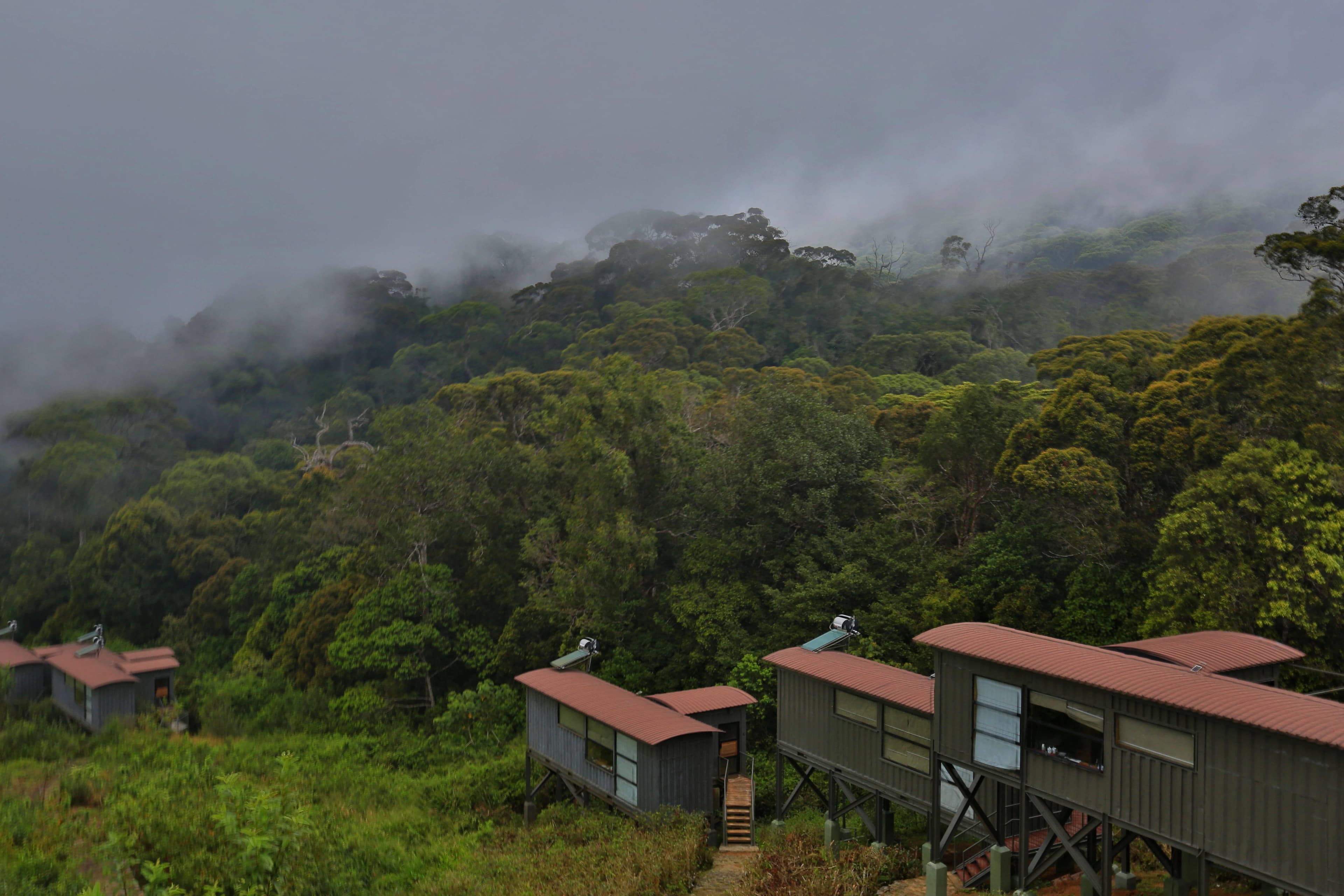 The Rainforest Ecolodge Ansicht 2