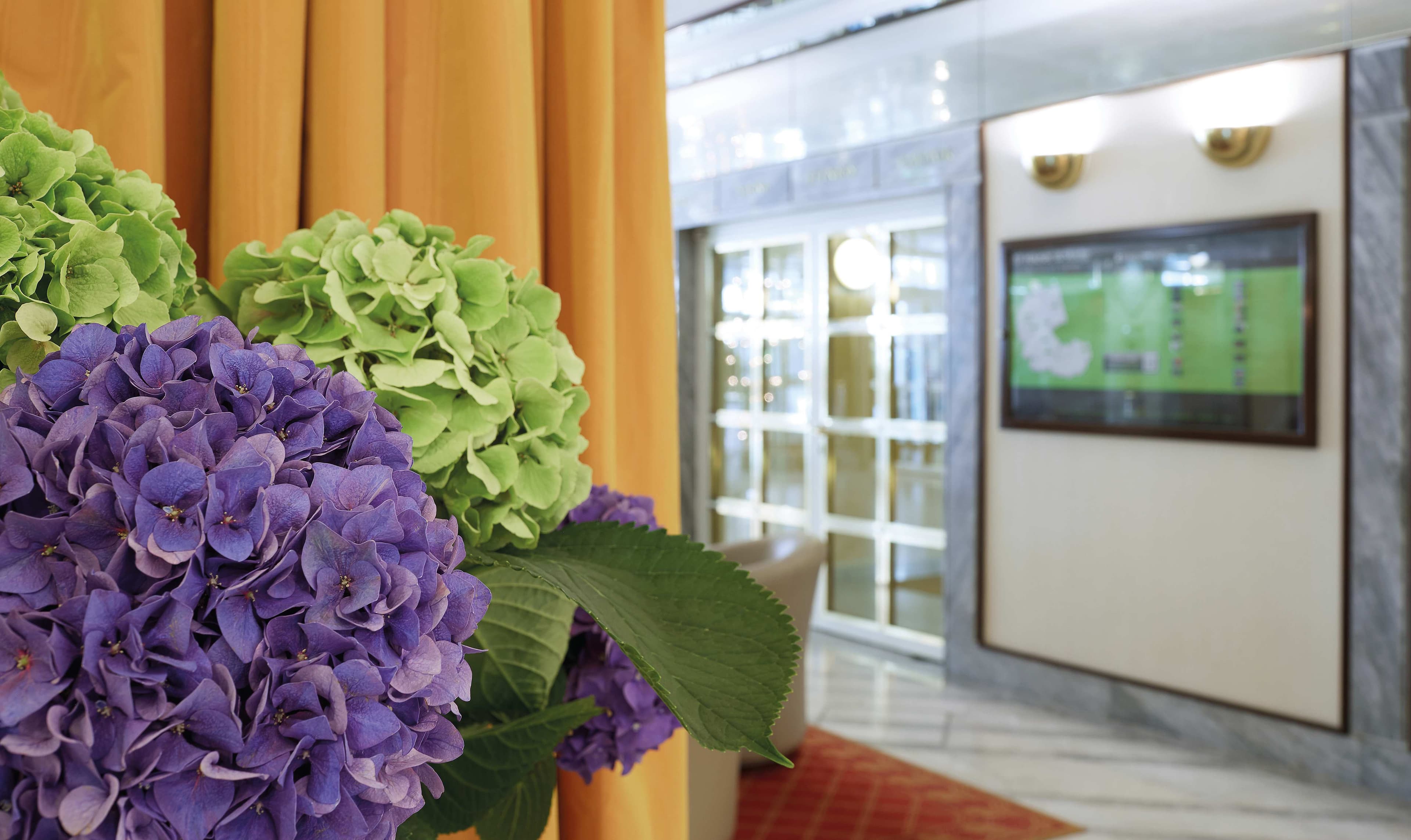 Living Hotel Kaiser Franz Joseph Ansicht 9