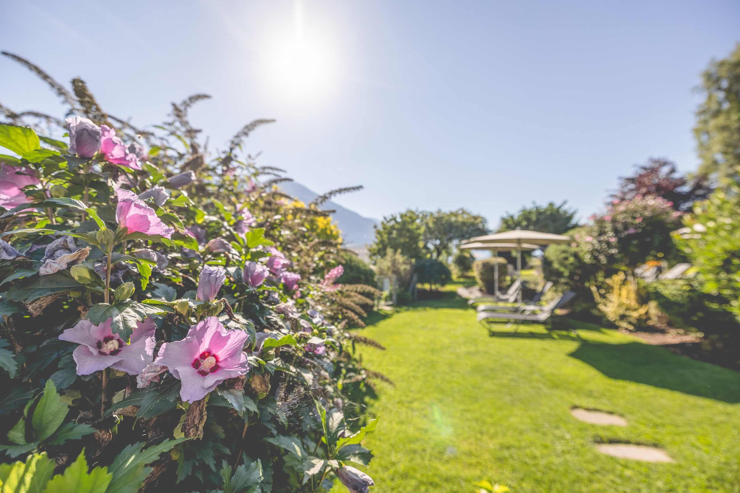 Gartenhotel Crystal Ansicht 7