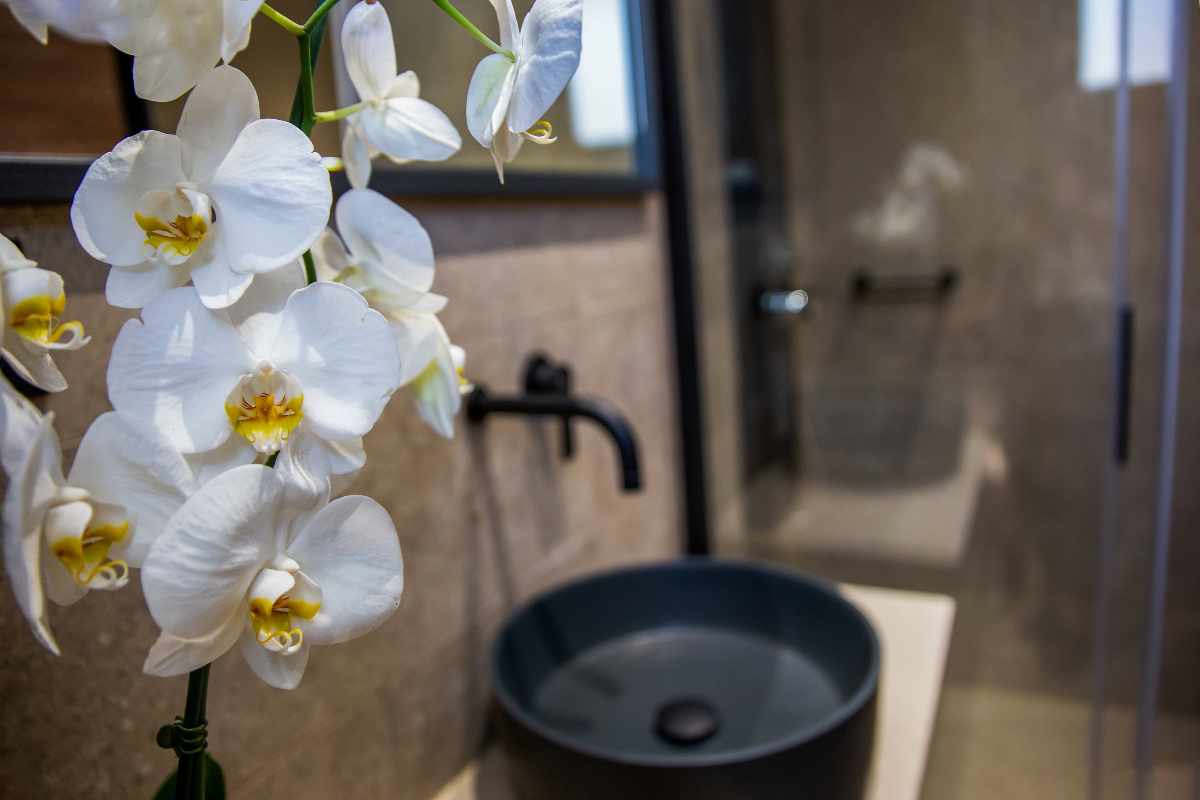 Sunset Boutique Hotel & Spa Ansicht 5