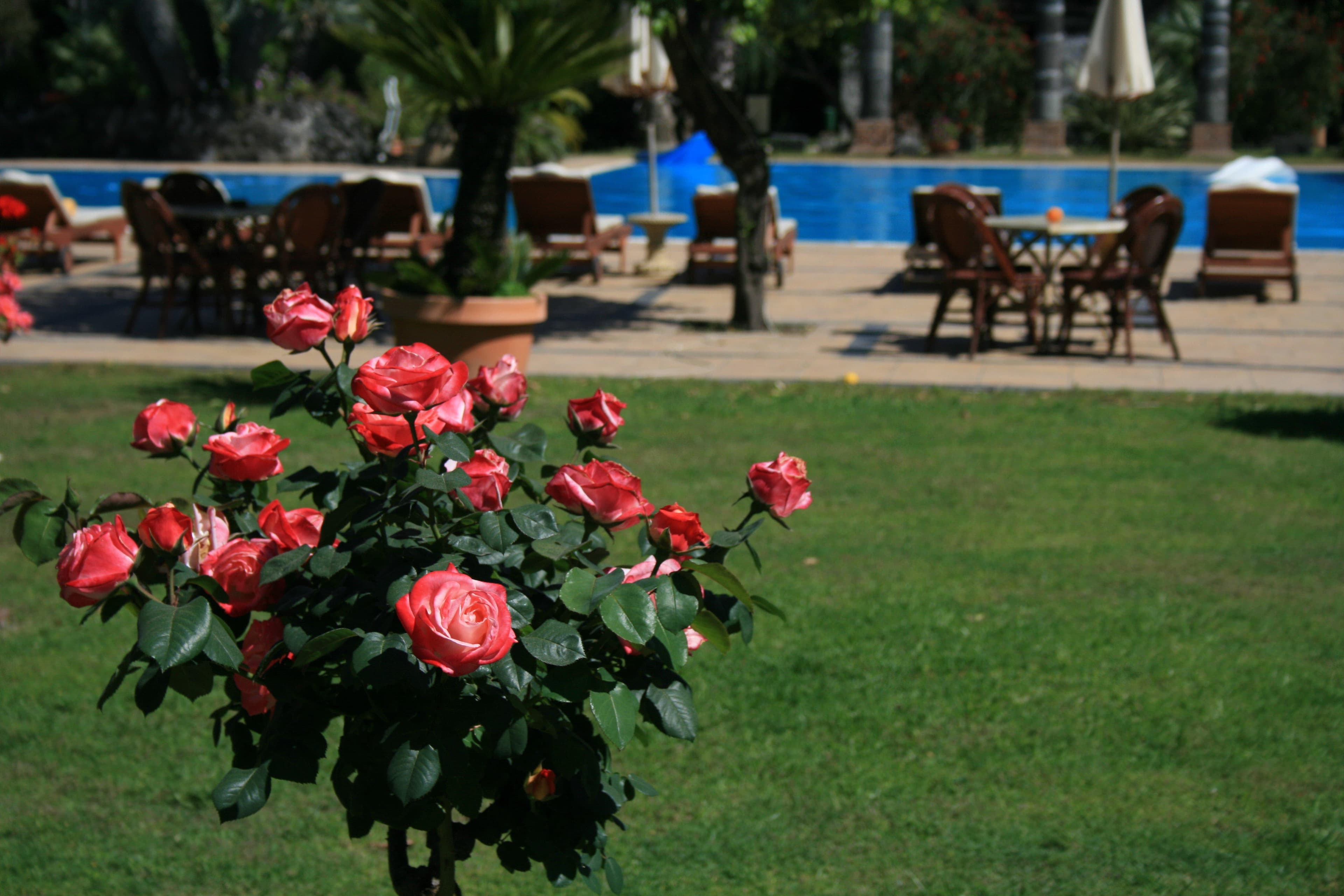 Castello di San Marco Charming Hotel & Spa Ansicht 6