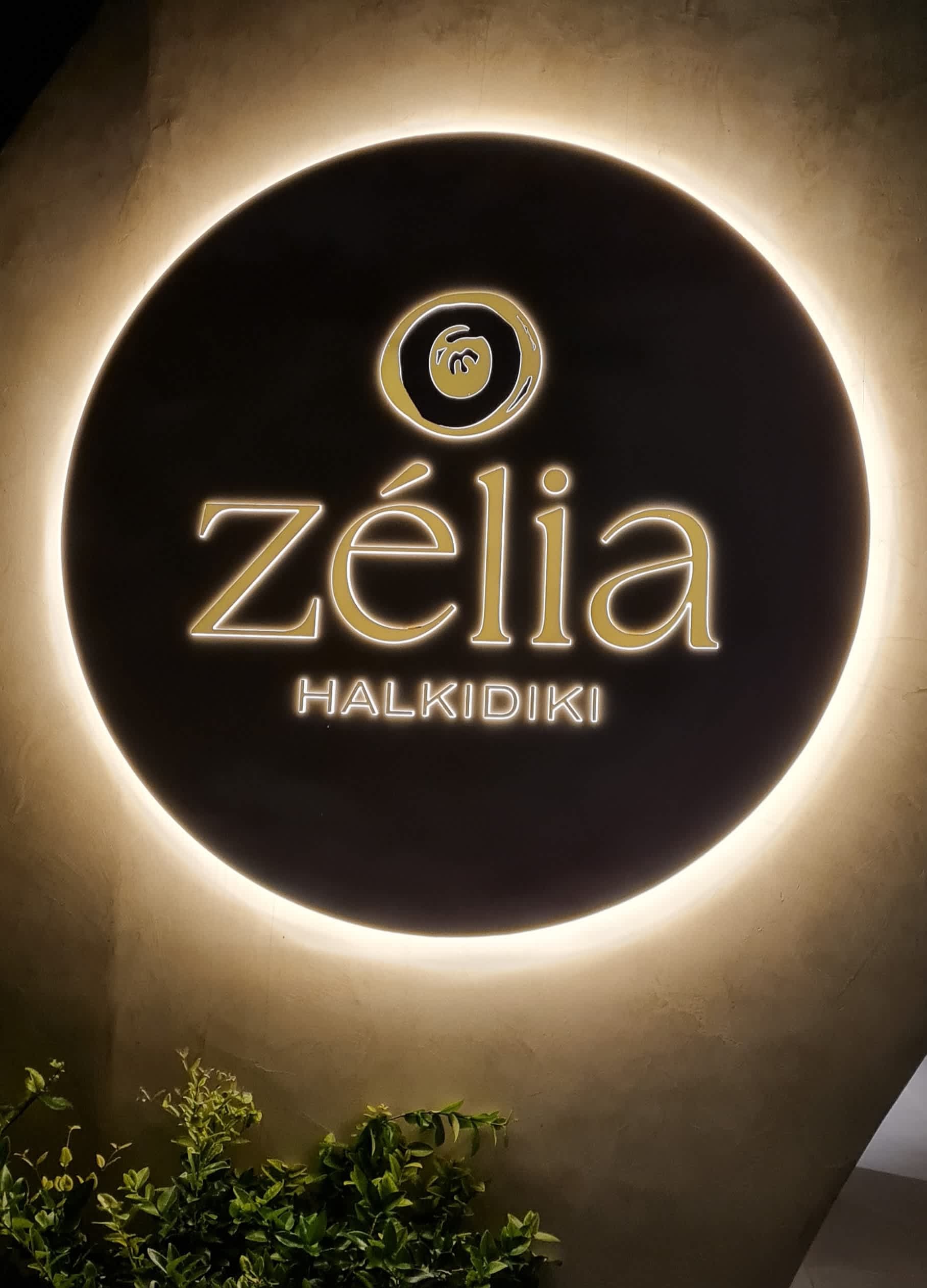 Zelia Resort Halkidiki Ansicht 3