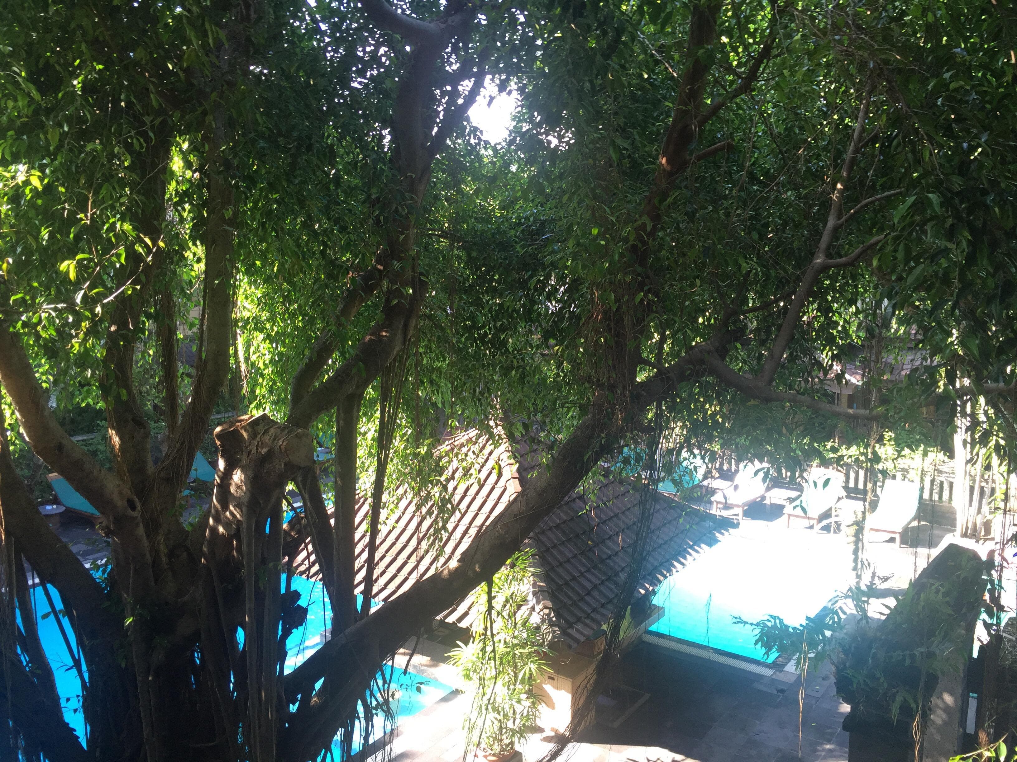 Hotel Puri Bambu Ansicht 7