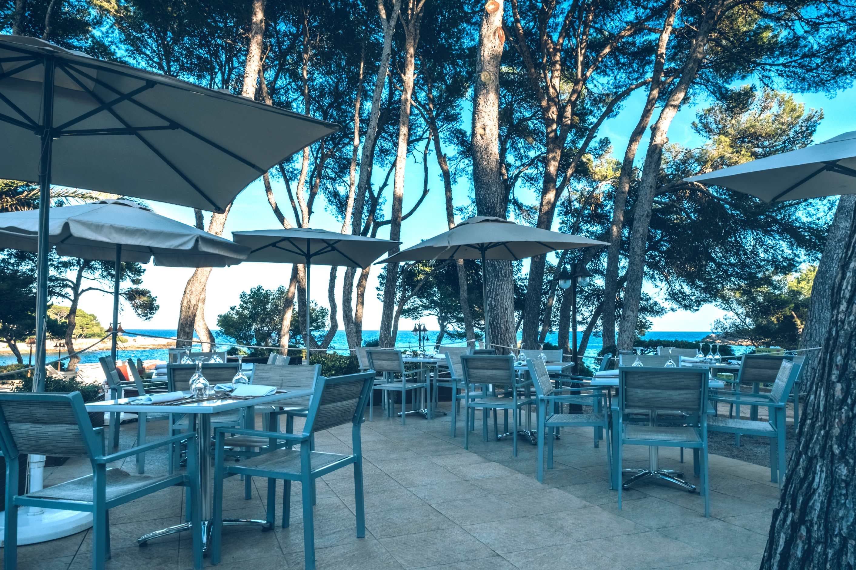 Iberostar Waves Pinos Park Ansicht 7