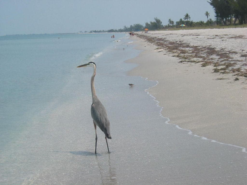 Hotel South Seas Island Resort Ansicht 9