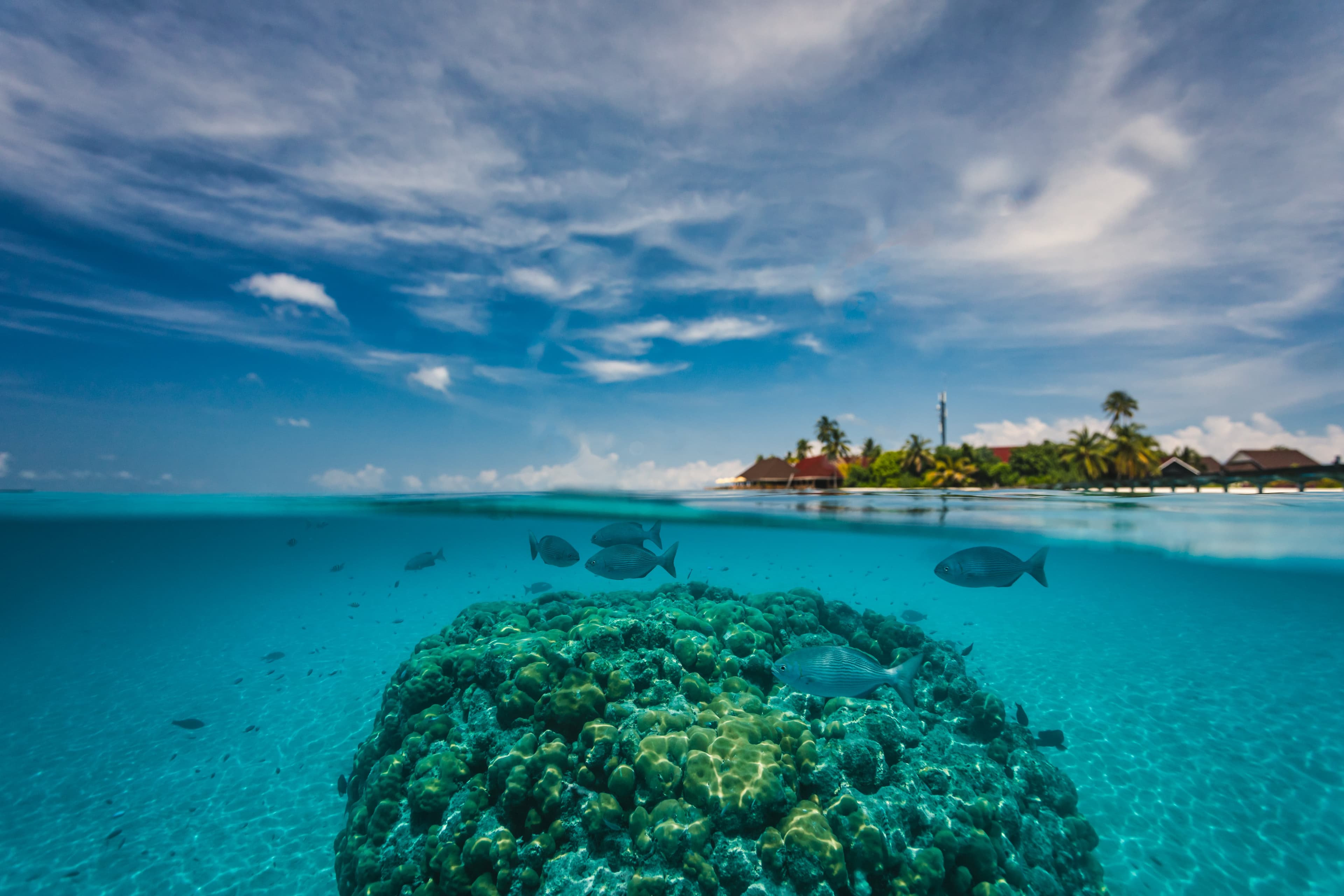 Dhigufaru Island Resort Ansicht 10