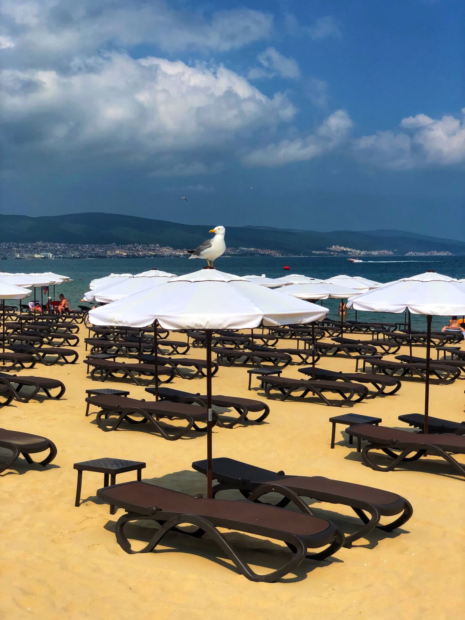 Flamingo Beach Hotel Ansicht 8