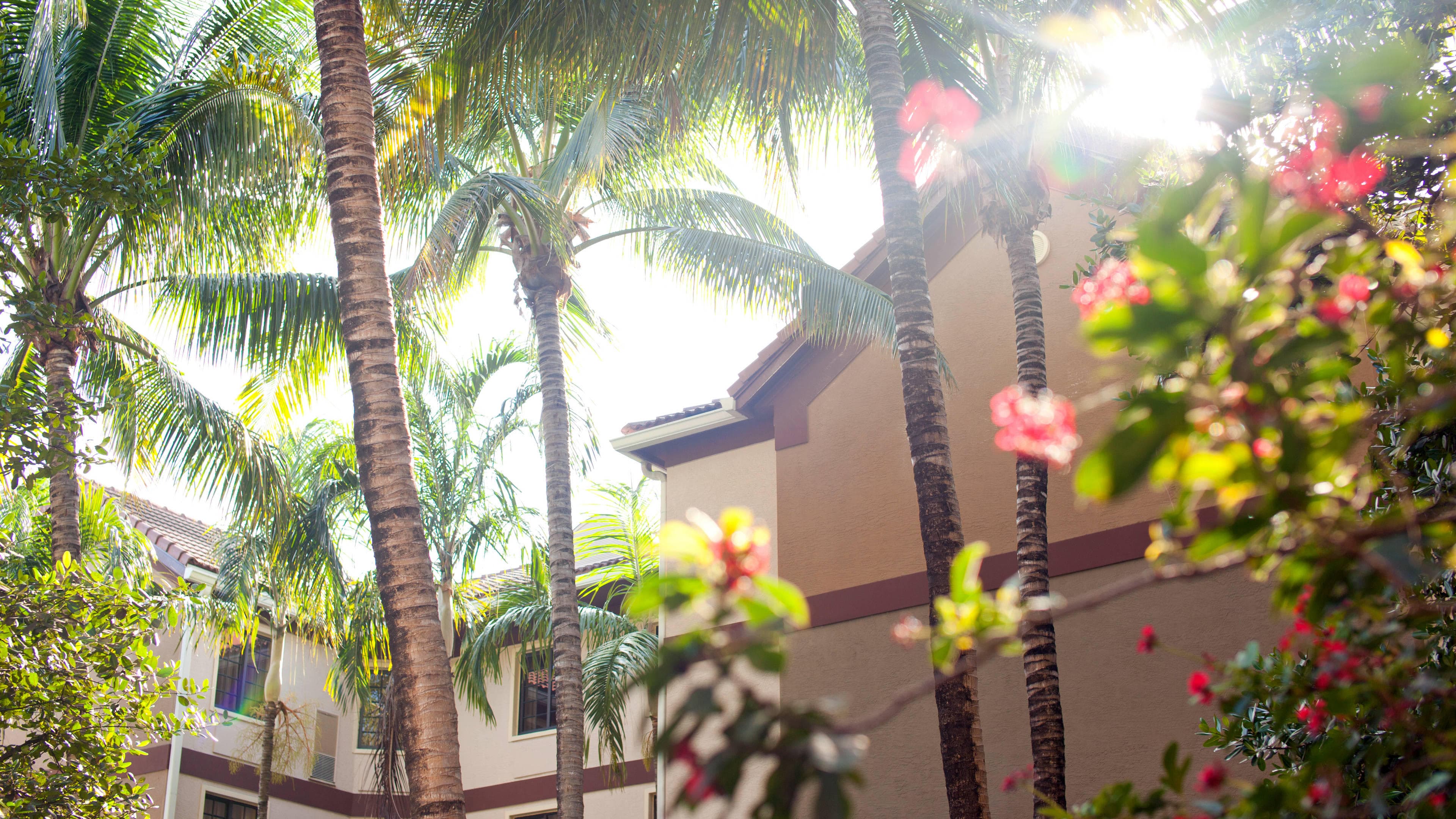 Staybridge Suites Ft. Lauderdale-Plantation Ansicht 9