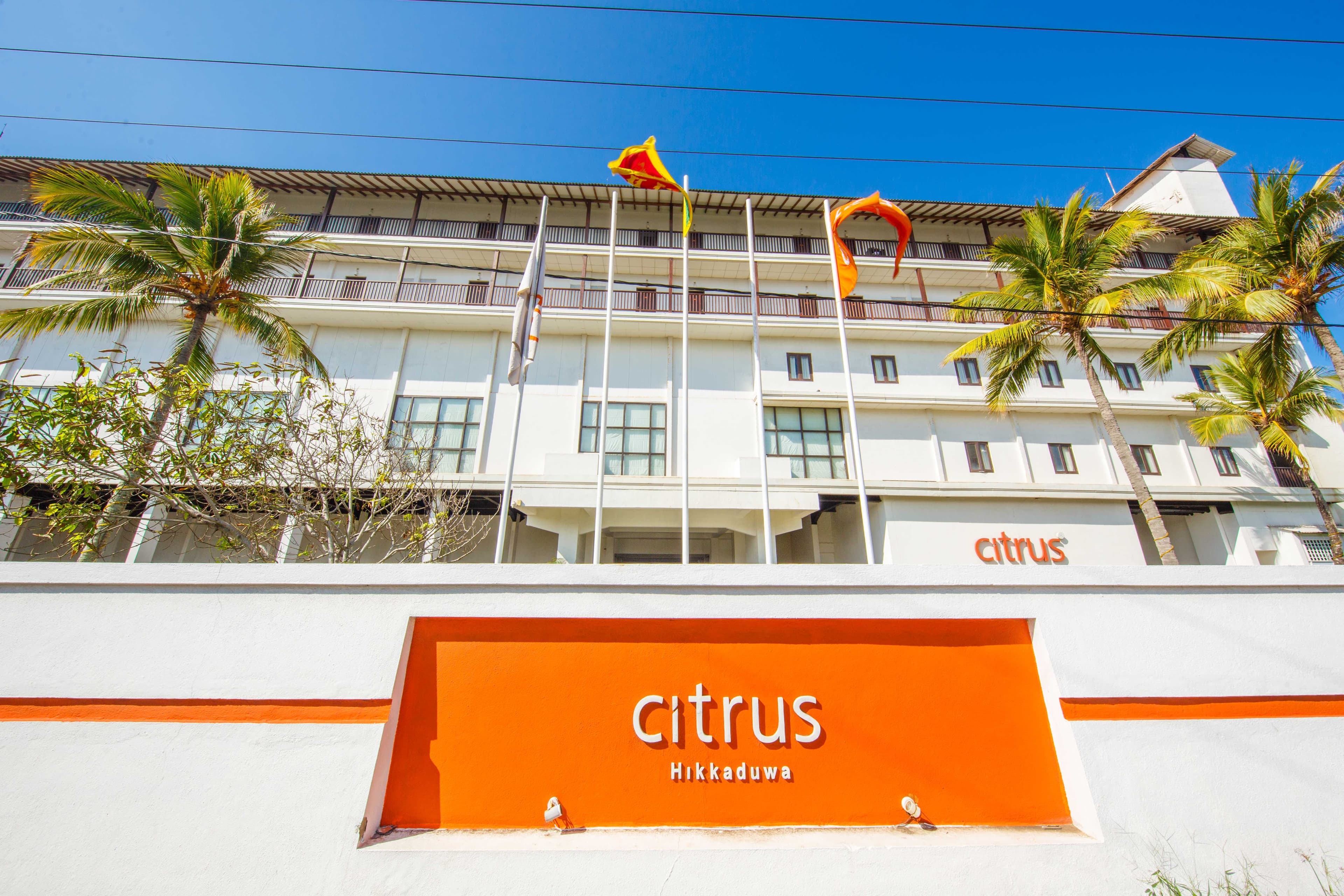 Citrus Hikkaduwa Ansicht 2