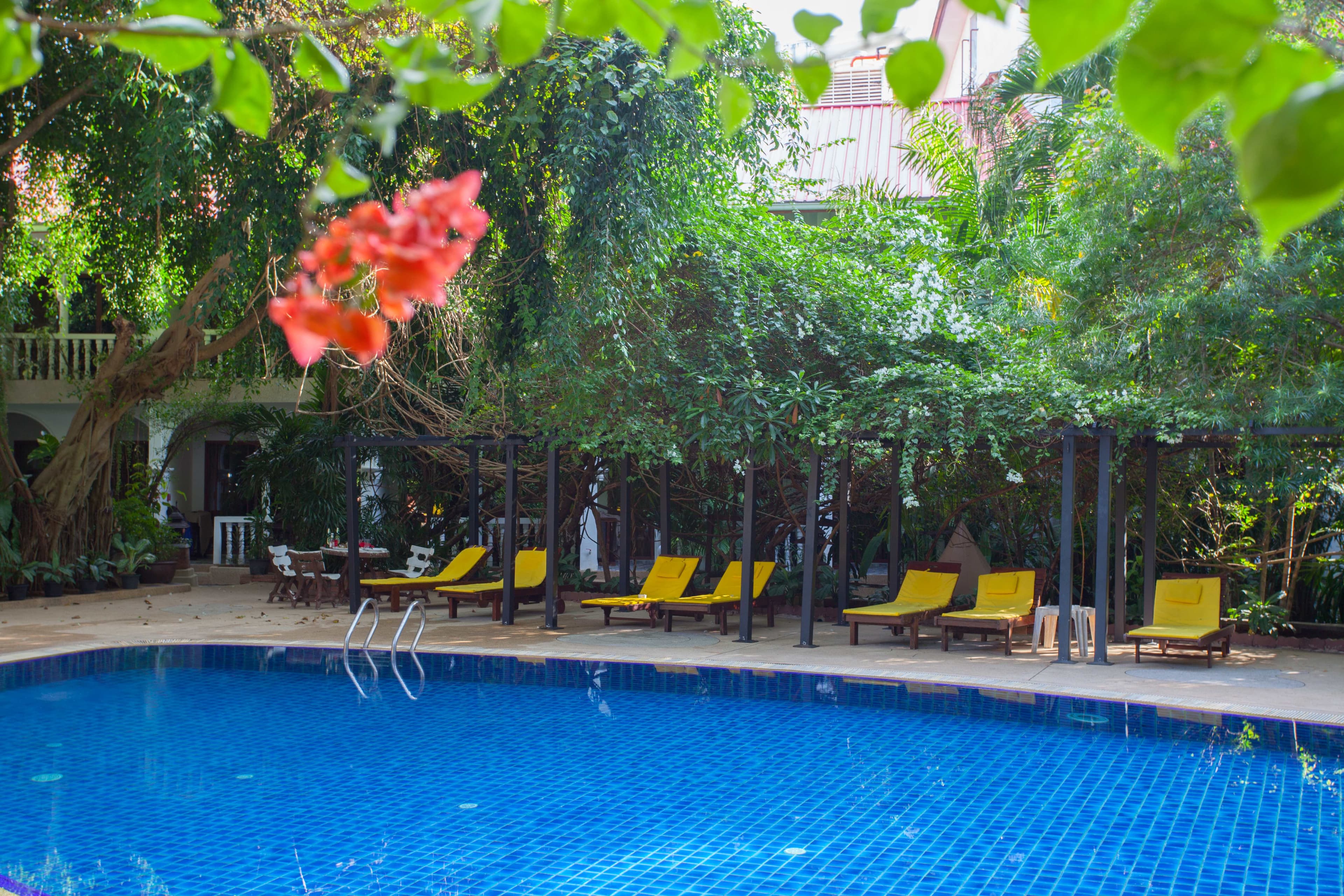 Hotel Tropica Bungalow Ansicht 7