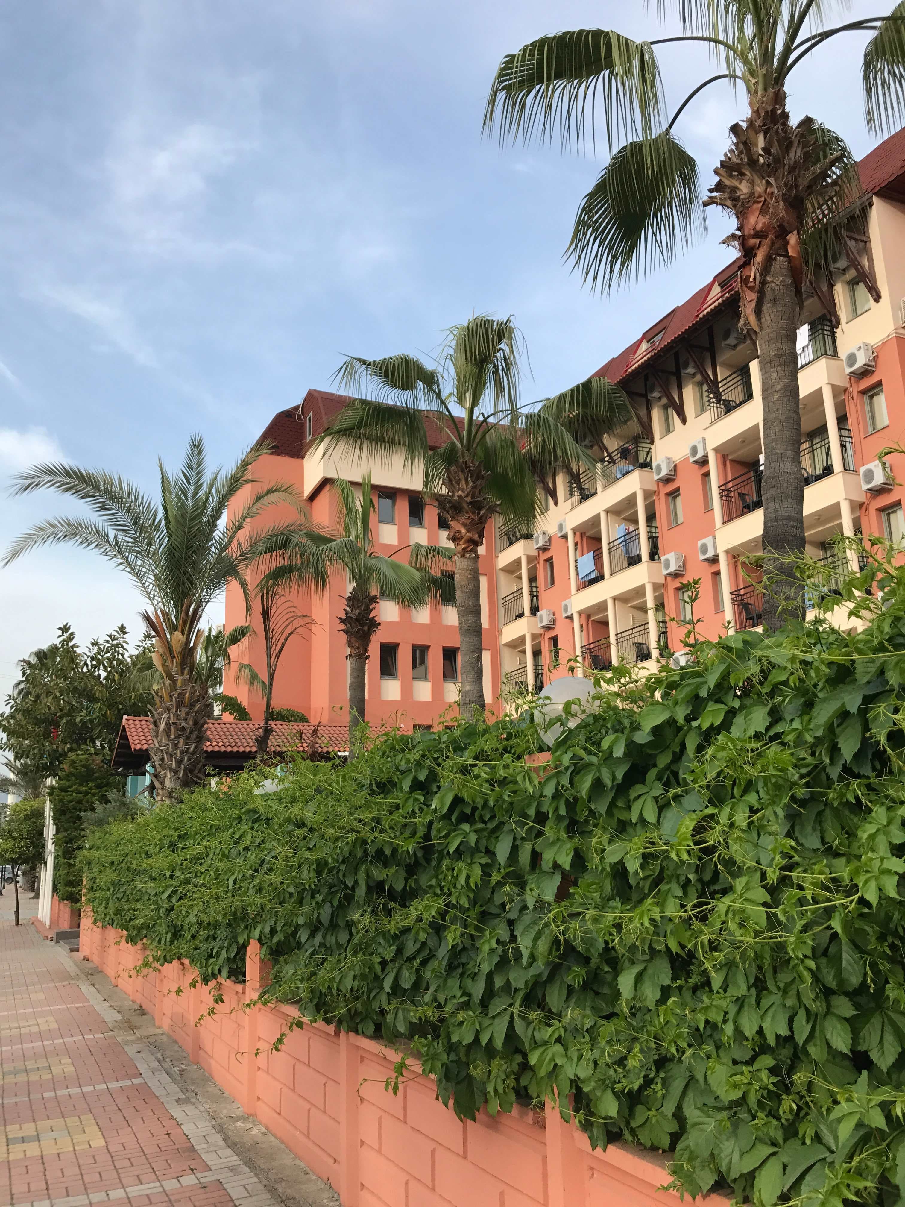Palmeras Beach Hotel Ansicht 2