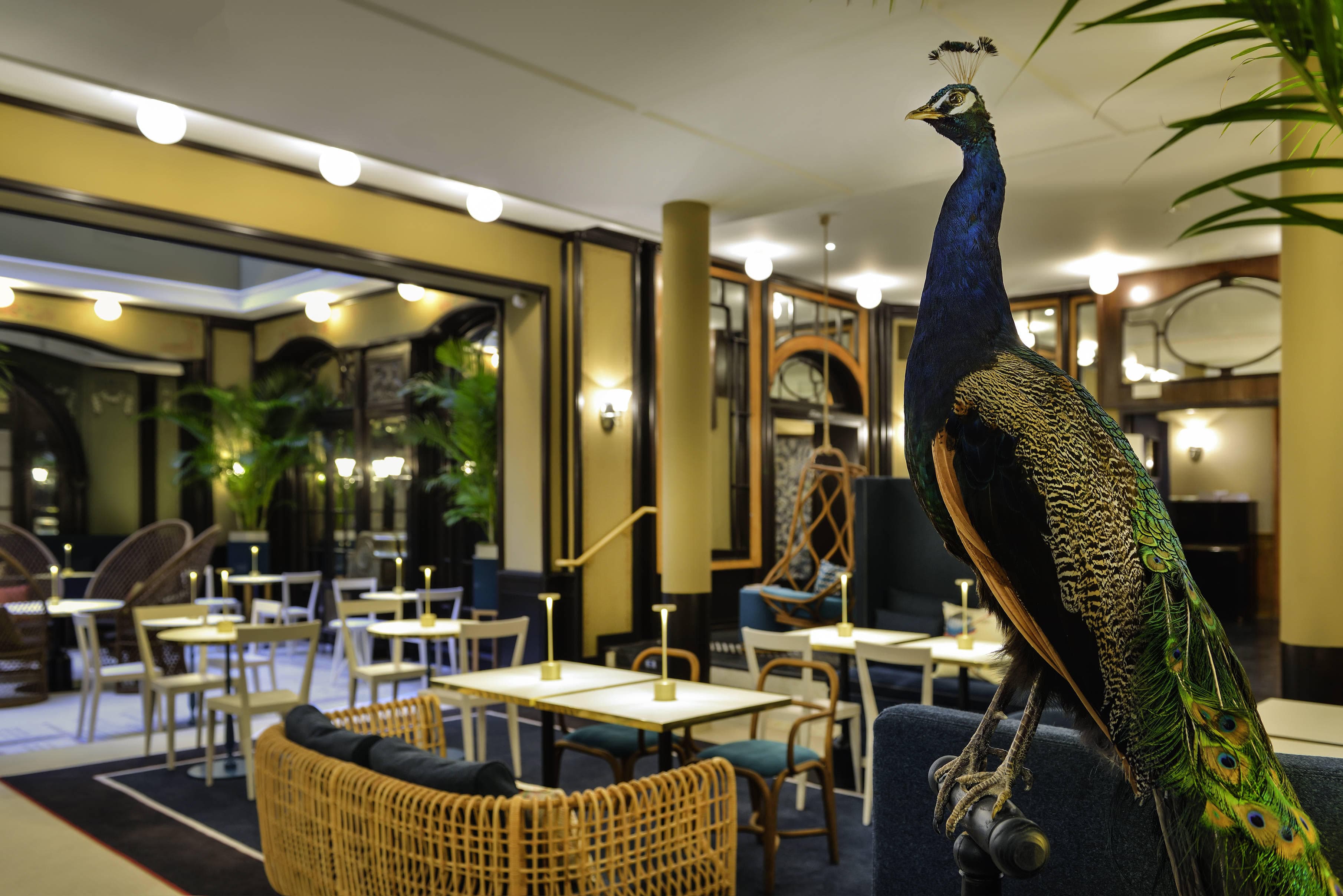 Hotel L'Echiquier Opéra Paris – MGallery Collection by Sofitel Ansicht 9