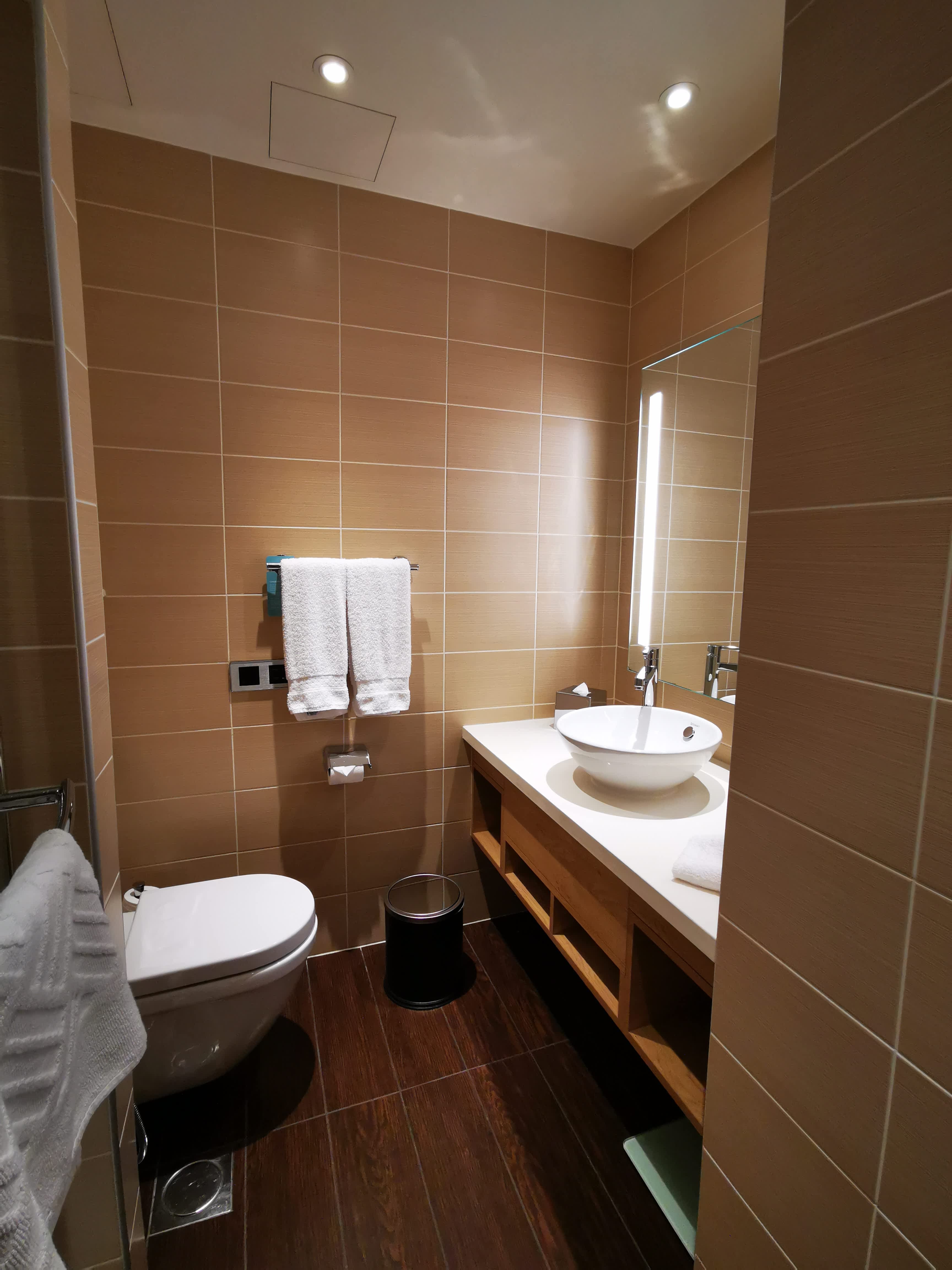 Hilton Garden Inn Dubai, Mall Avenue Ansicht 4