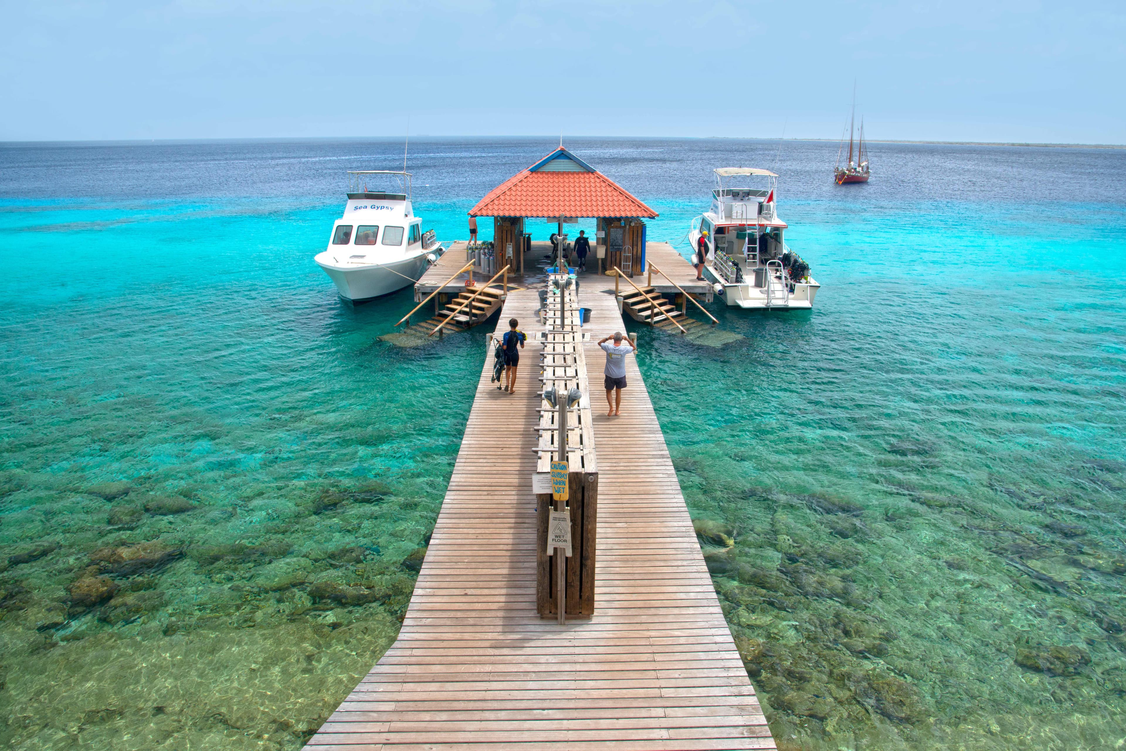 Divi Flamingo Beach Resort Ansicht 2