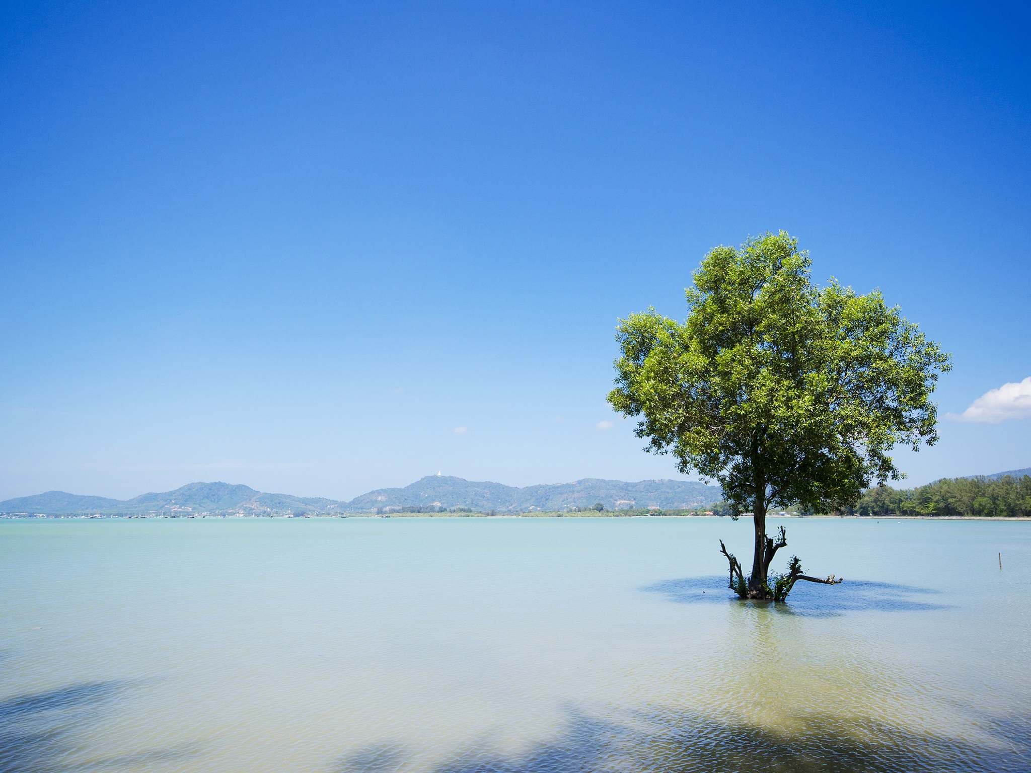 The Mangrove Panwa Phuket Resort Ansicht 9