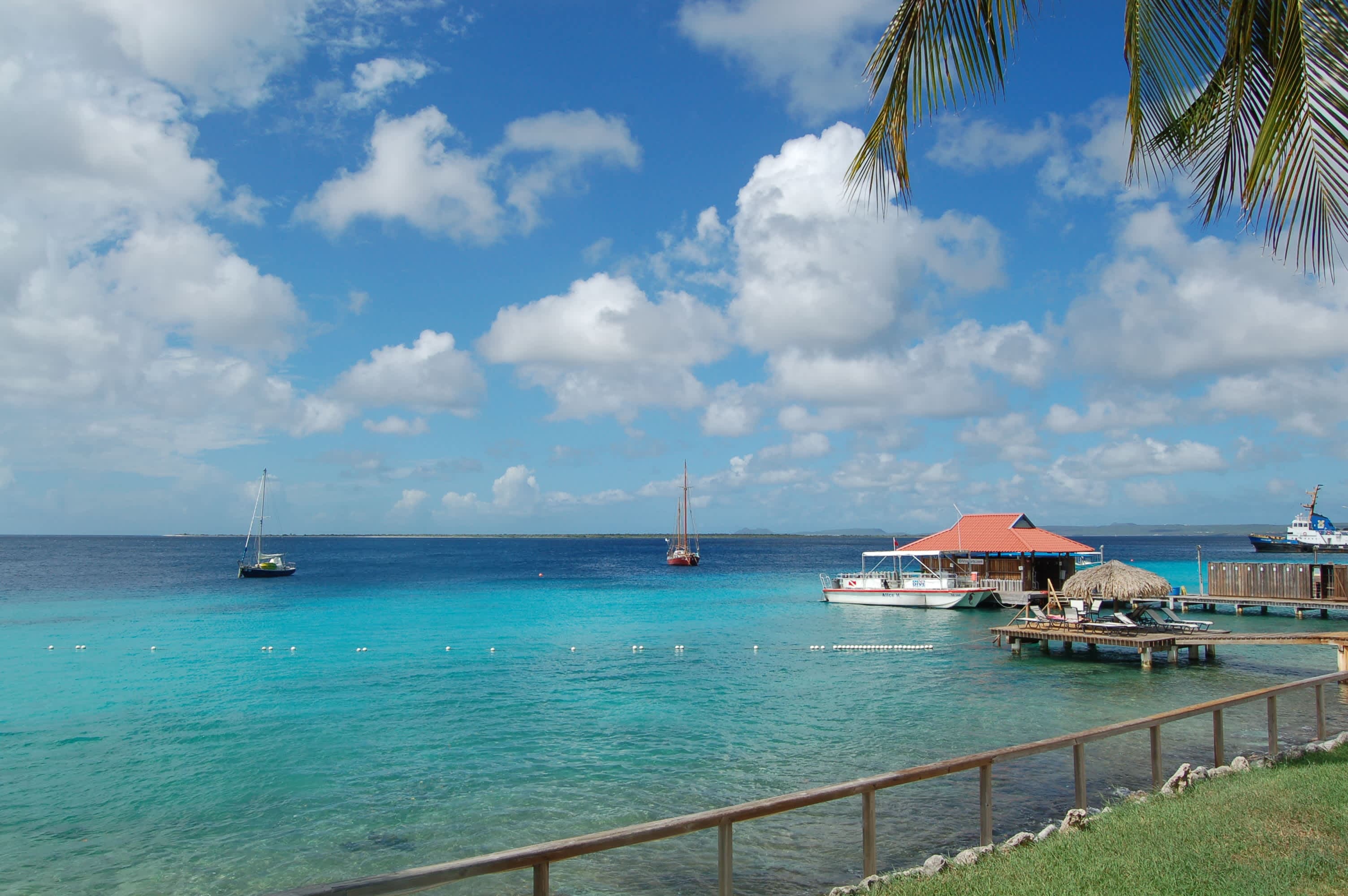 Divi Flamingo Beach Resort