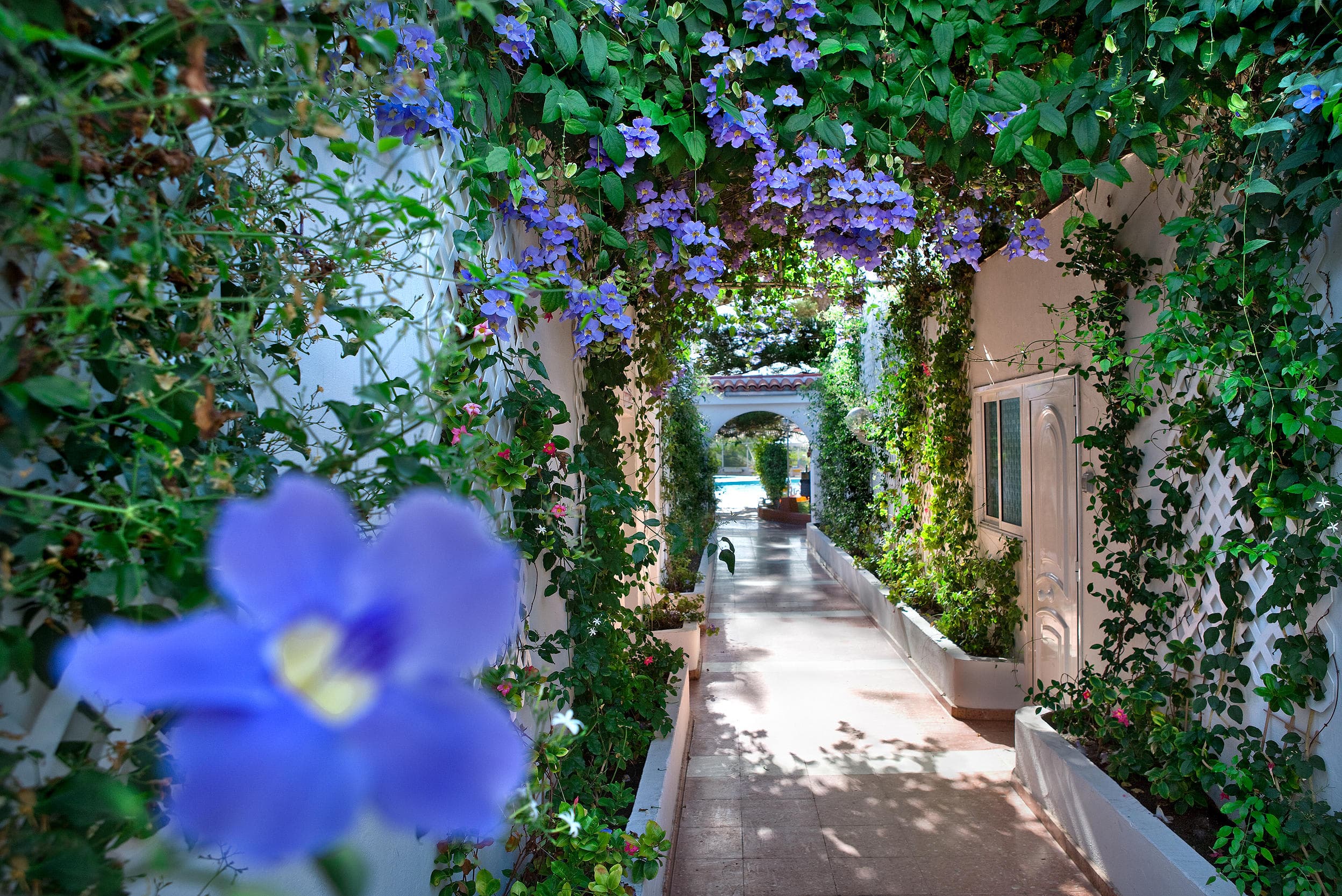 Bungalowhotel Parque del Paraiso I - Adult Hotel