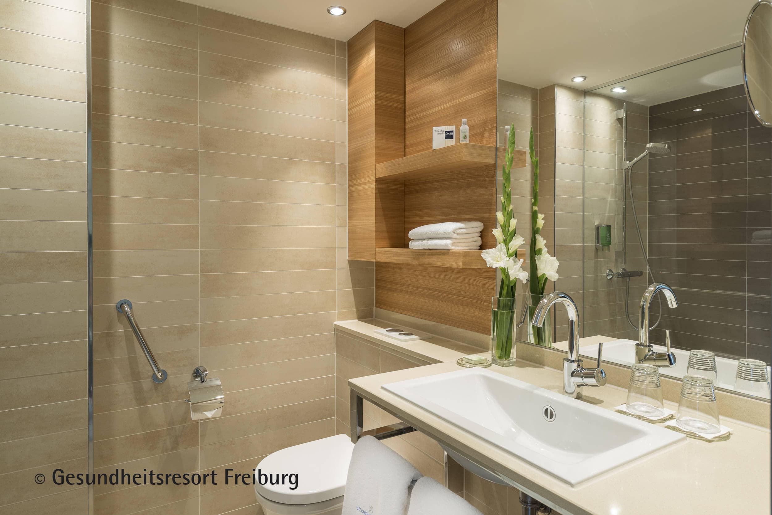 Dorint Thermenhotel Freiburg Ansicht 3