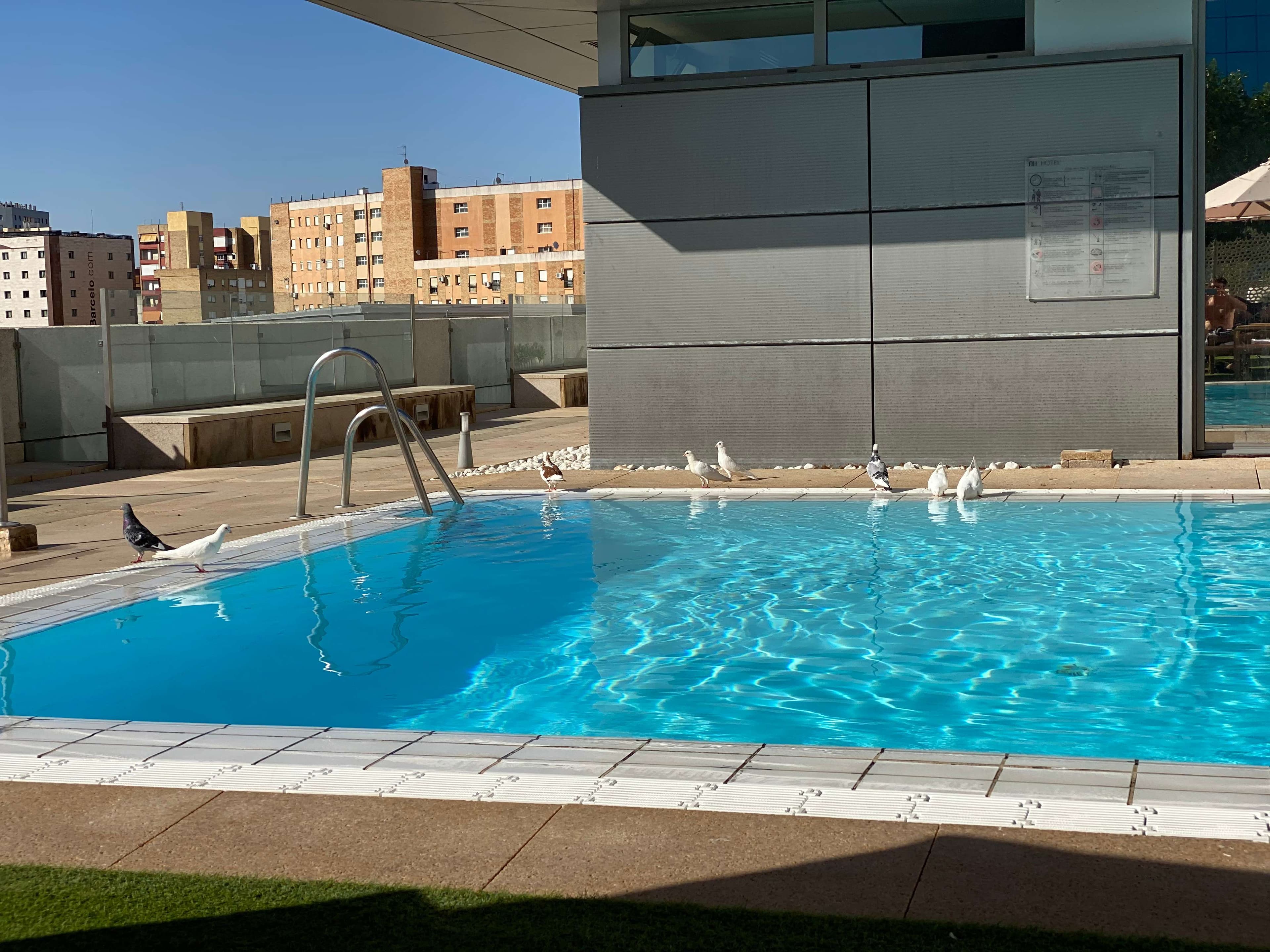 NH Collection Sevilla Ansicht 6