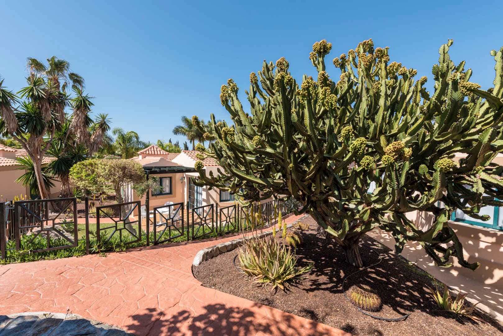 allsun Hotel Esplendido Ansicht 2