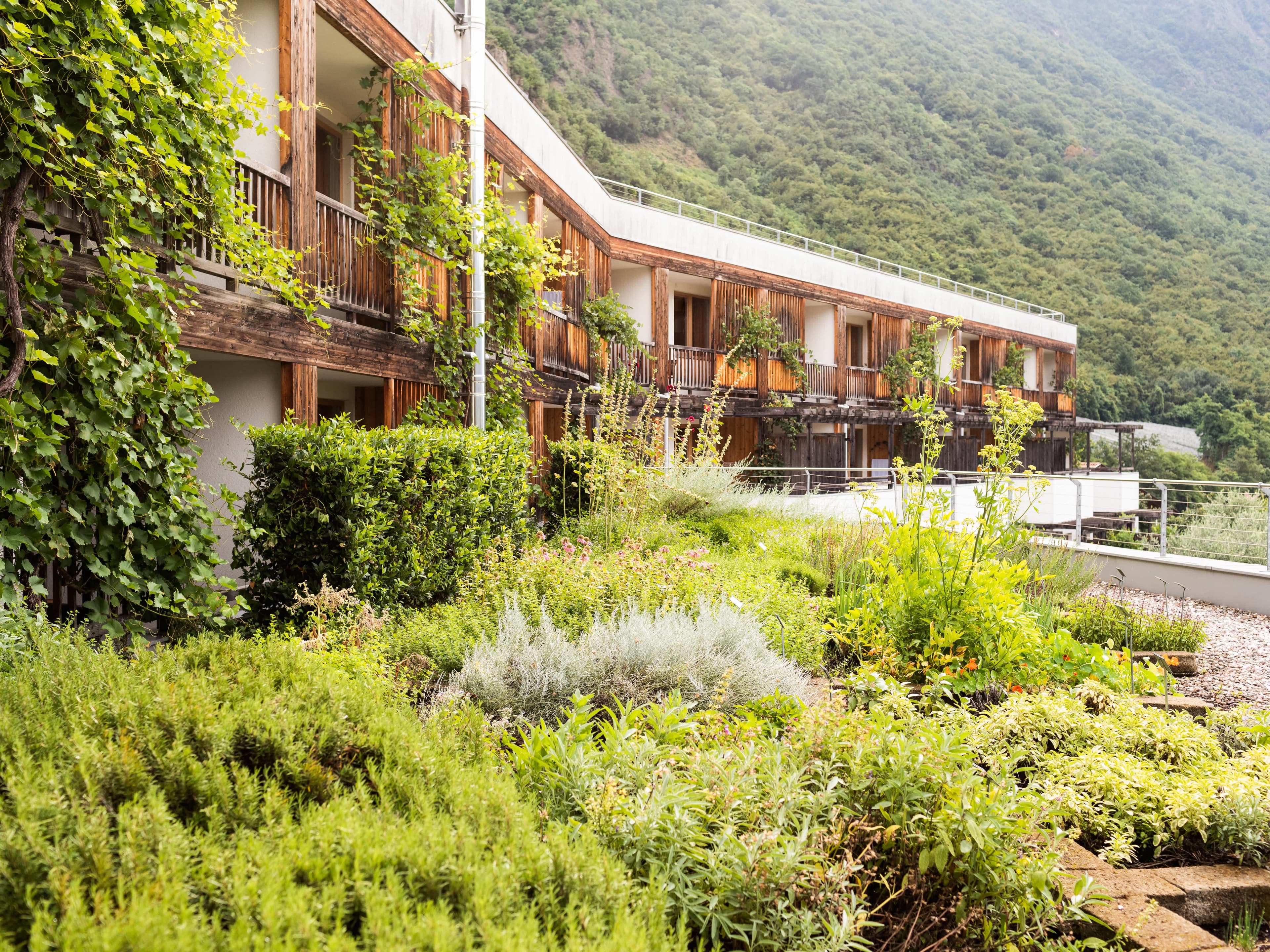 Theiner's Garten Bio Vitalhotel Ansicht 8