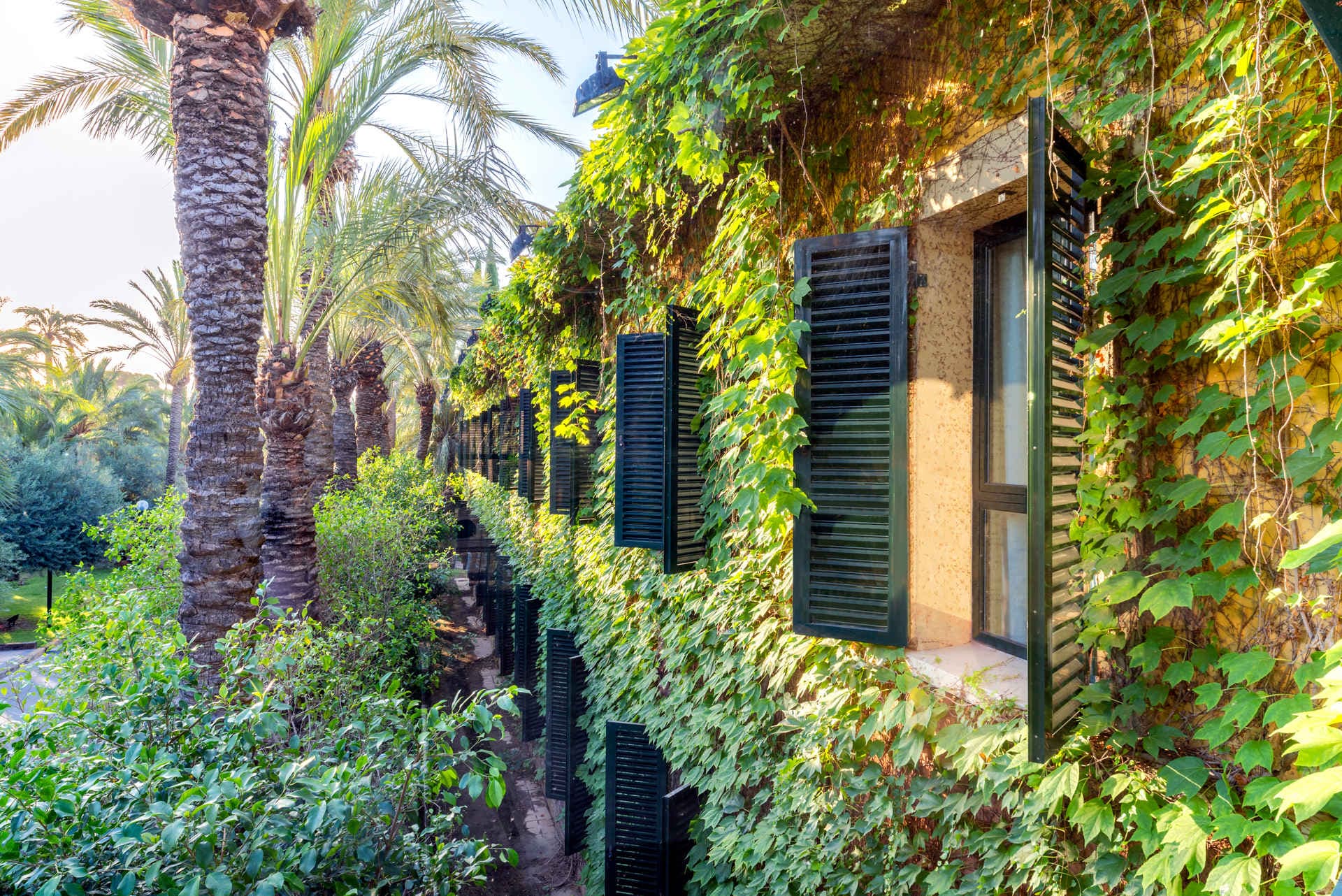 Port Jardín Milenio Ansicht 8
