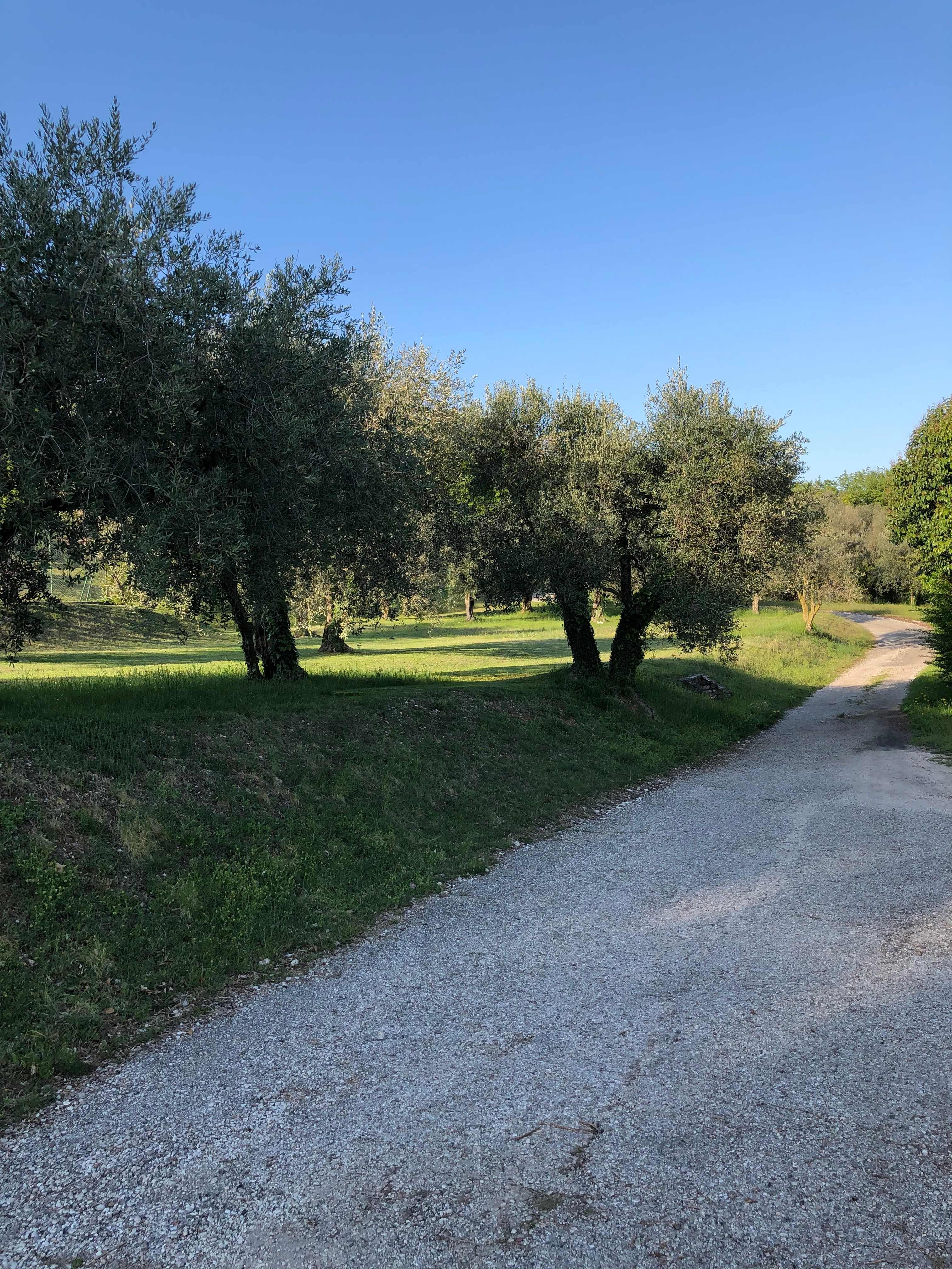 Residence san Michele Ansicht 3