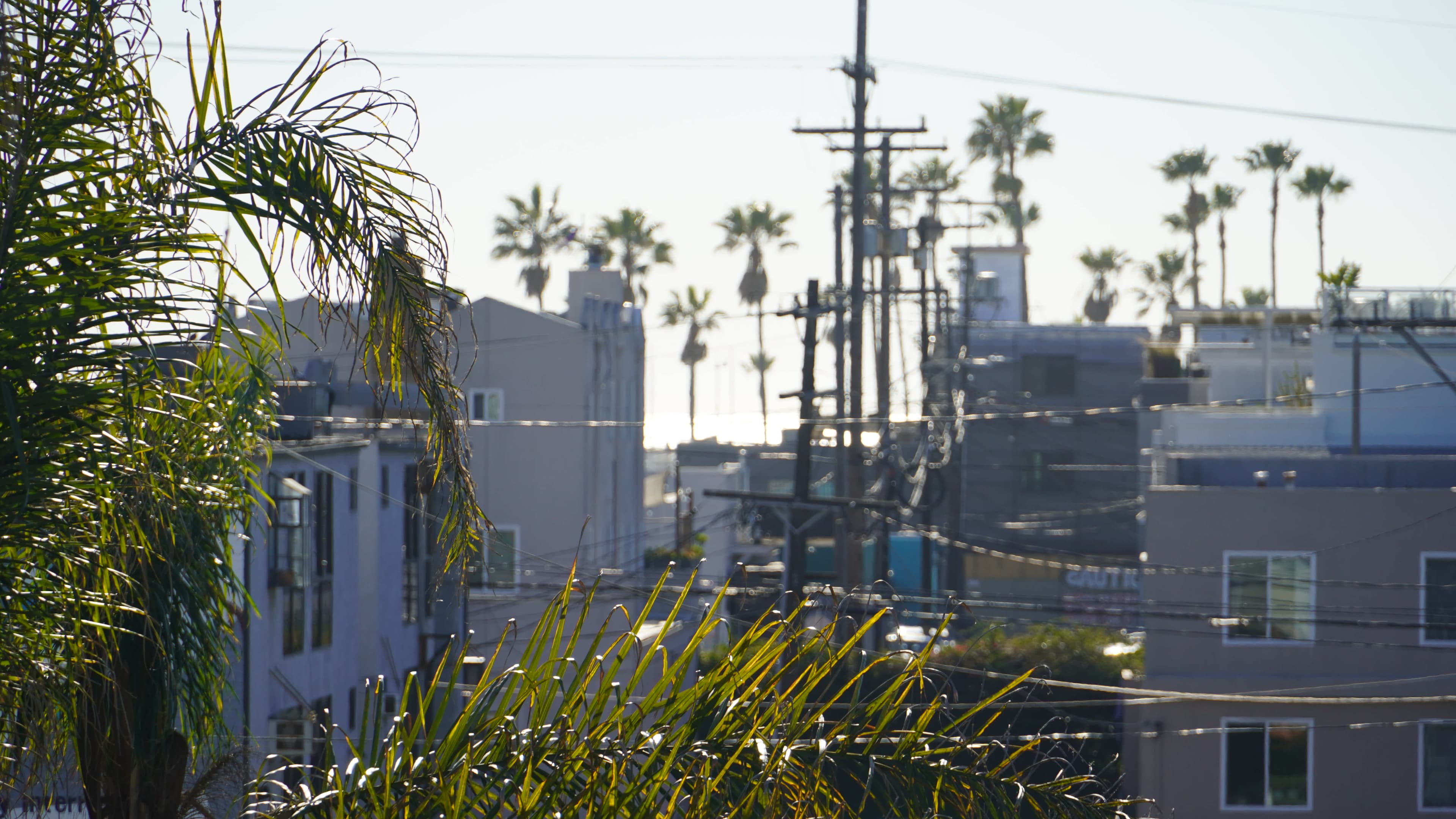 Hotel The Inn At Venice Beach Ansicht 5