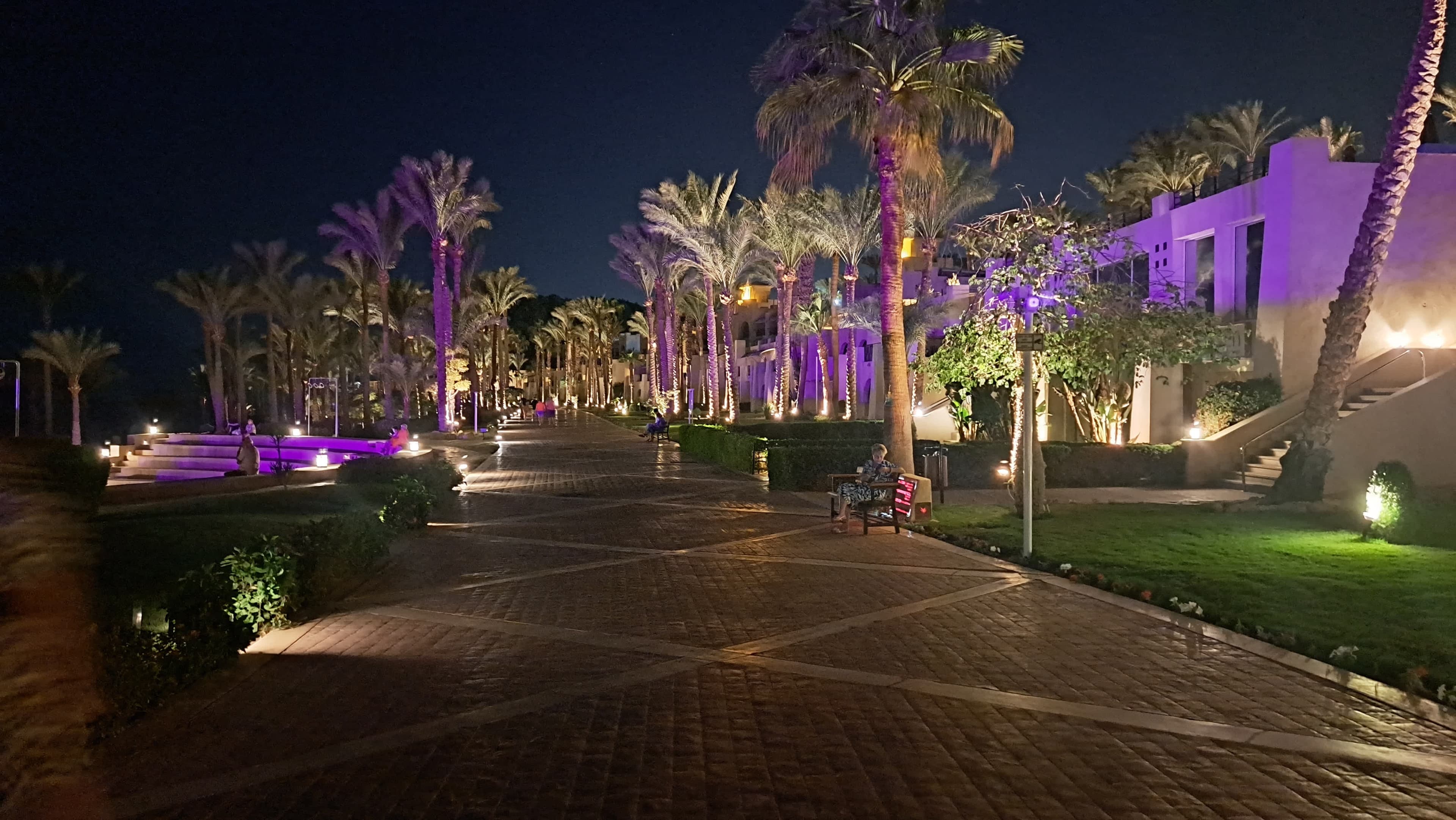 Grand Rotana Resort & Spa Ansicht 3