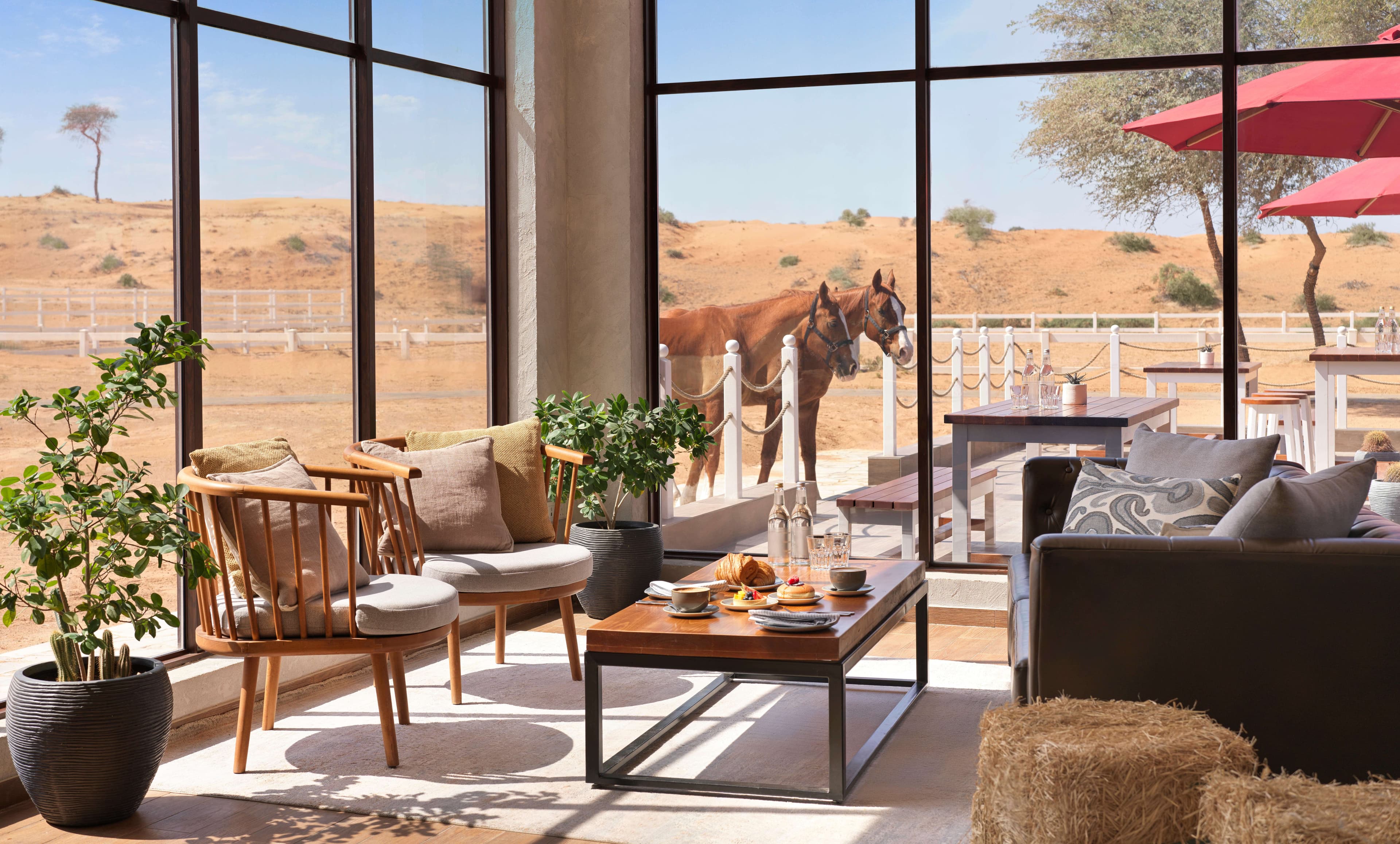 The Ritz-Carlton Ras Al Khaimah, Al Wadi Desert Ansicht 10